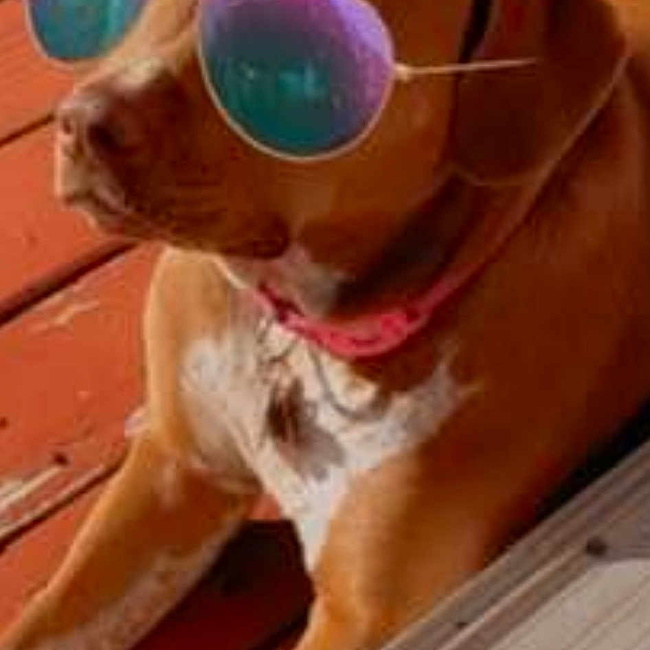 Remi Dior