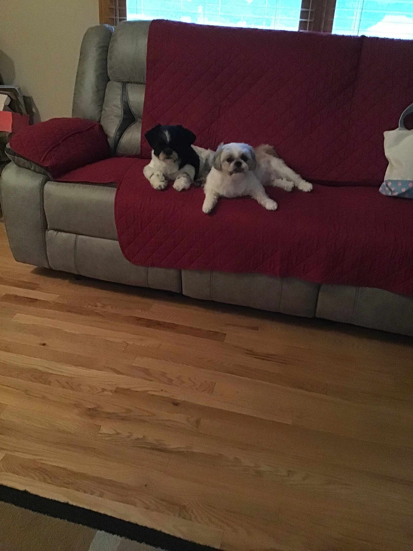 Loki And Zeus