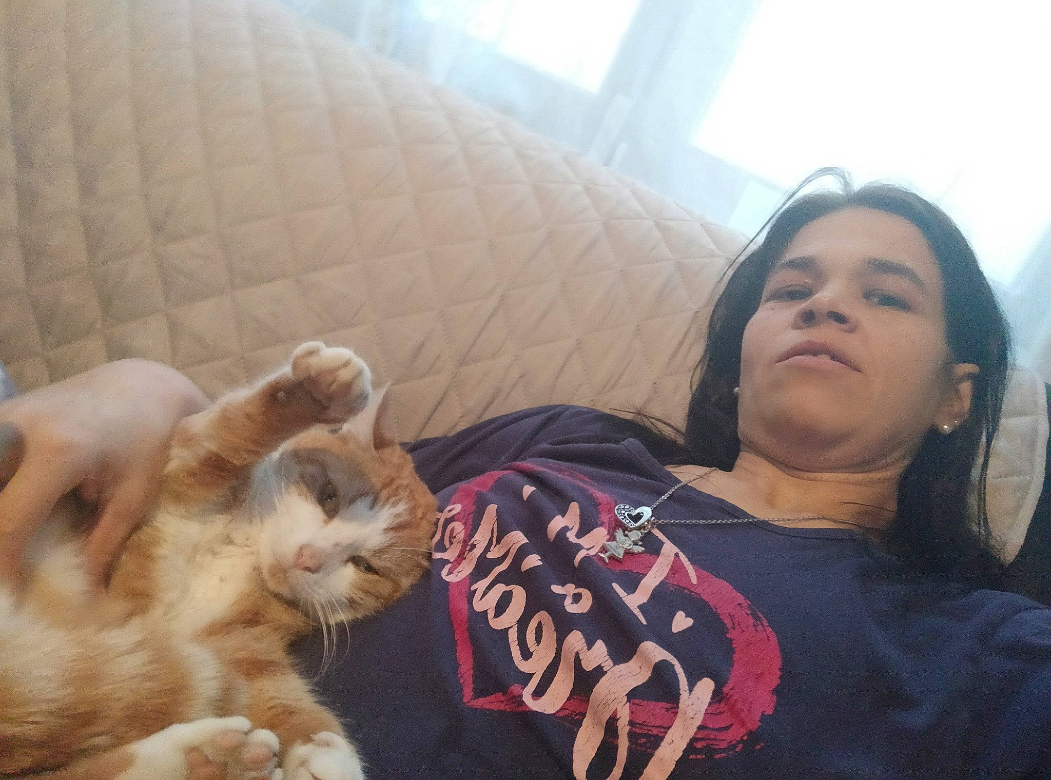 Minous participe au concours pour gagner de l'argent avec cette photo : carnivore, cat, comfort, companion_dog, couch, dog_breed, domestic_short_haired_cat, fawn, felidae, fur, happy, lap, mouth, room, sitting, skin, small_to_medium_sized_cats, t_shirt, vertebrate, whiskers