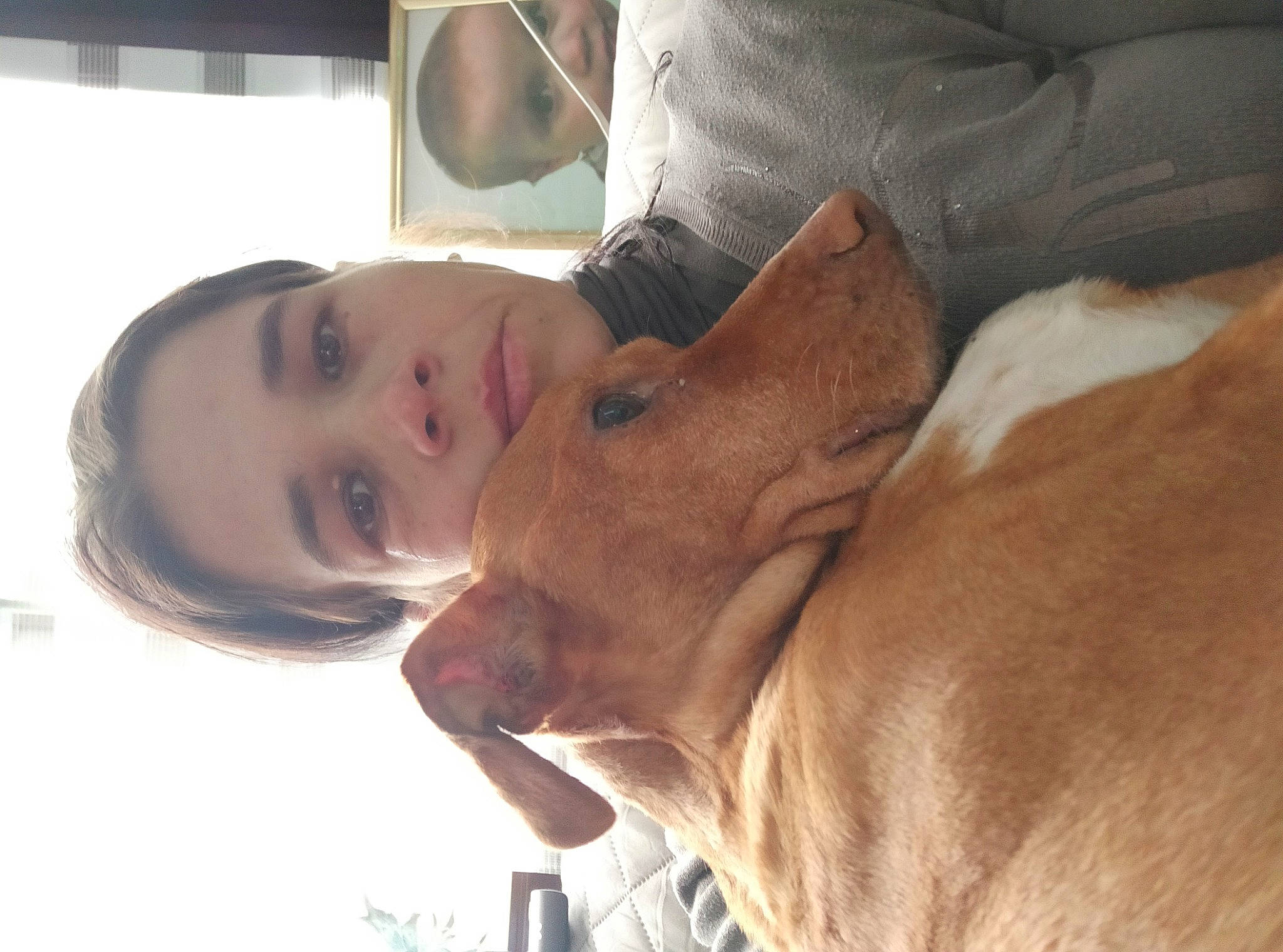 Lady Gaga a rejoint le concours — aidez-le/la à gagner de superbes lots ! brown_hair, carnivore, child, comfort, companion_dog, dog, dog_breed, ear, eyelash, fawn, fun, fur, gesture, happy, jaw, liver, nose, selfie, whiskers, working_animal