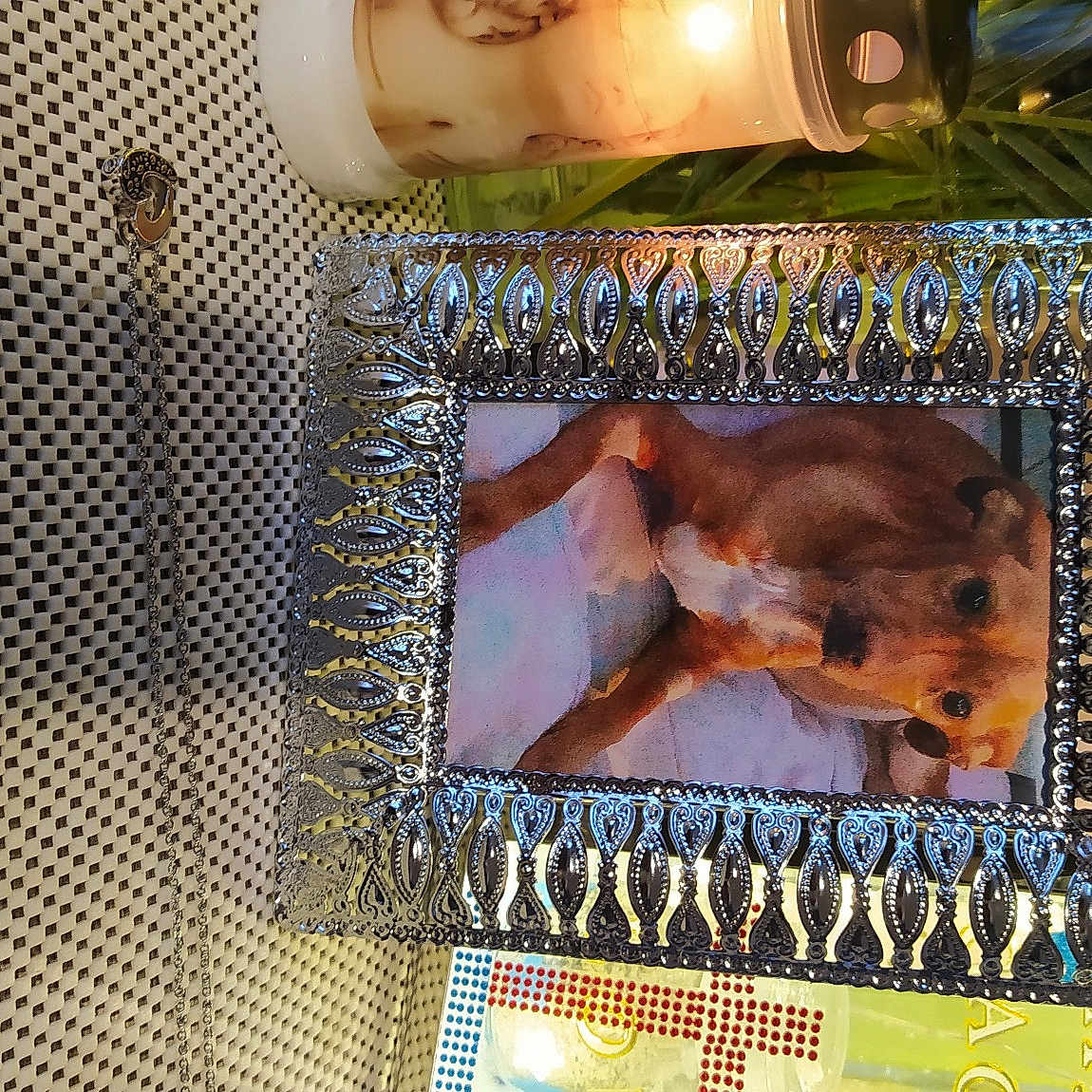 Lady Gaga a rejoint le concours — aidez-le/la à gagner de superbes lots ! art, candle, candle_holder, carnivore, collage, fawn, glass, metal, organism, ornament, pattern, rectangle, room, vertebrate, visual_arts, wood