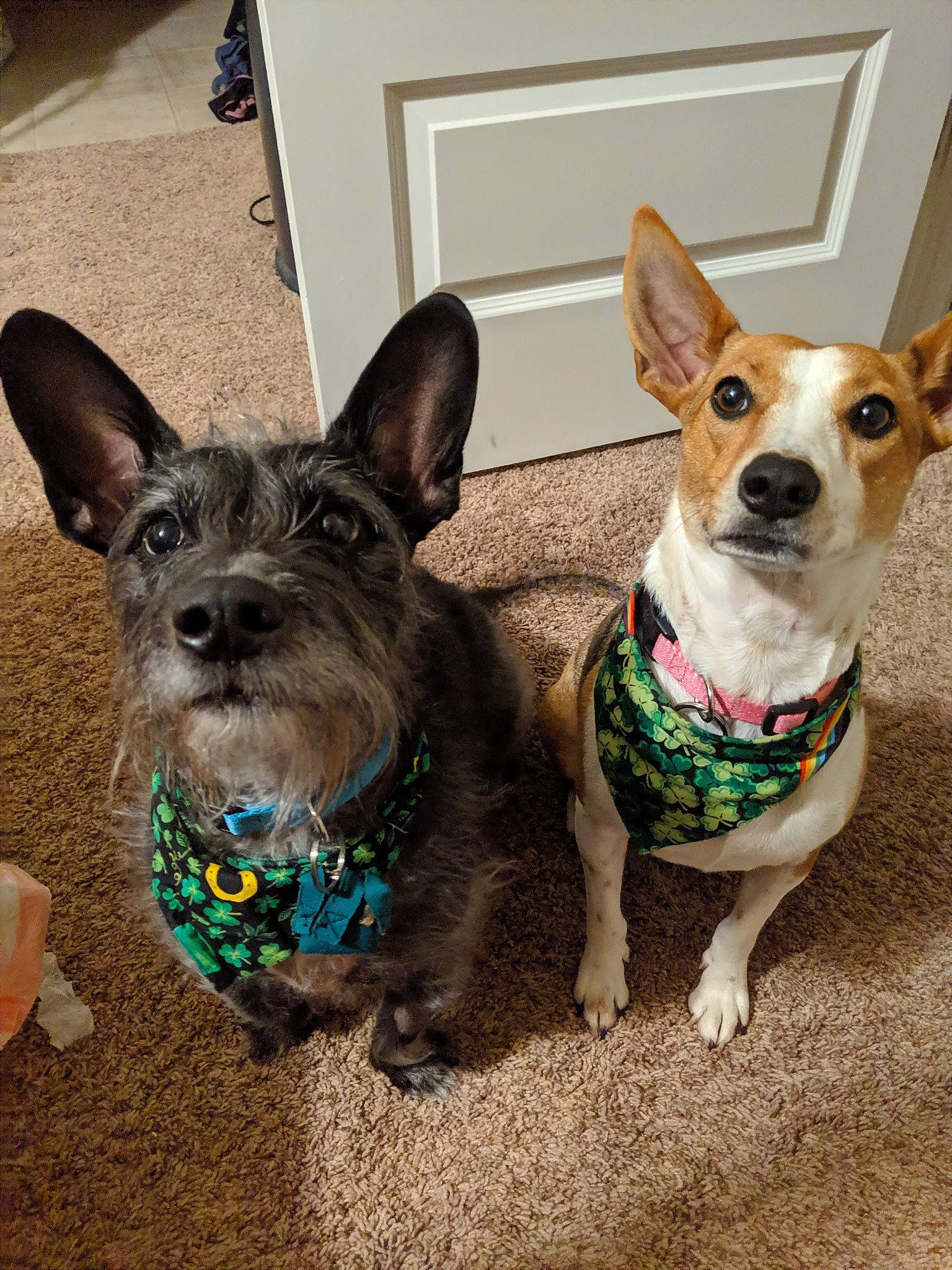 Roo And Kira