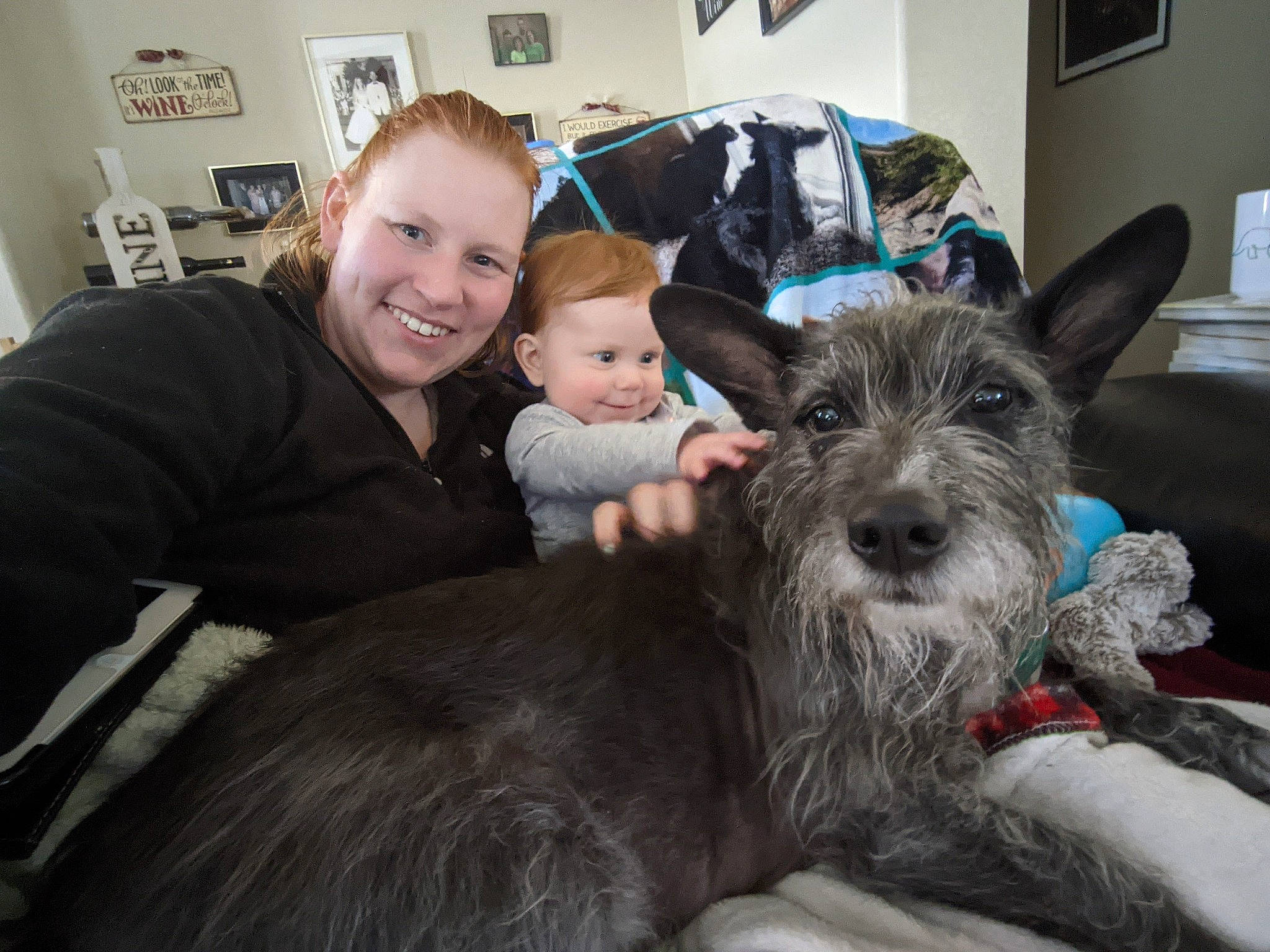 Roo joined the competition — help win amazing prizes! canidae, carnivore, comfort, companion_dog, dog, dog_breed, event, fur, giant_dog_breed, party_hat, picture_frame, schnauzer, sharing, sitting, smile, sporting_group, standard_schnauzer, terrier, toddler, working_animal