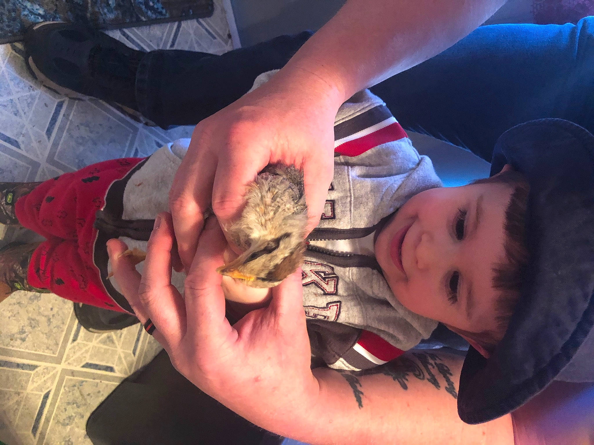 Daxton joined the competition — help win amazing prizes! hand, headwear, person, tortoise, wildlife_biologist