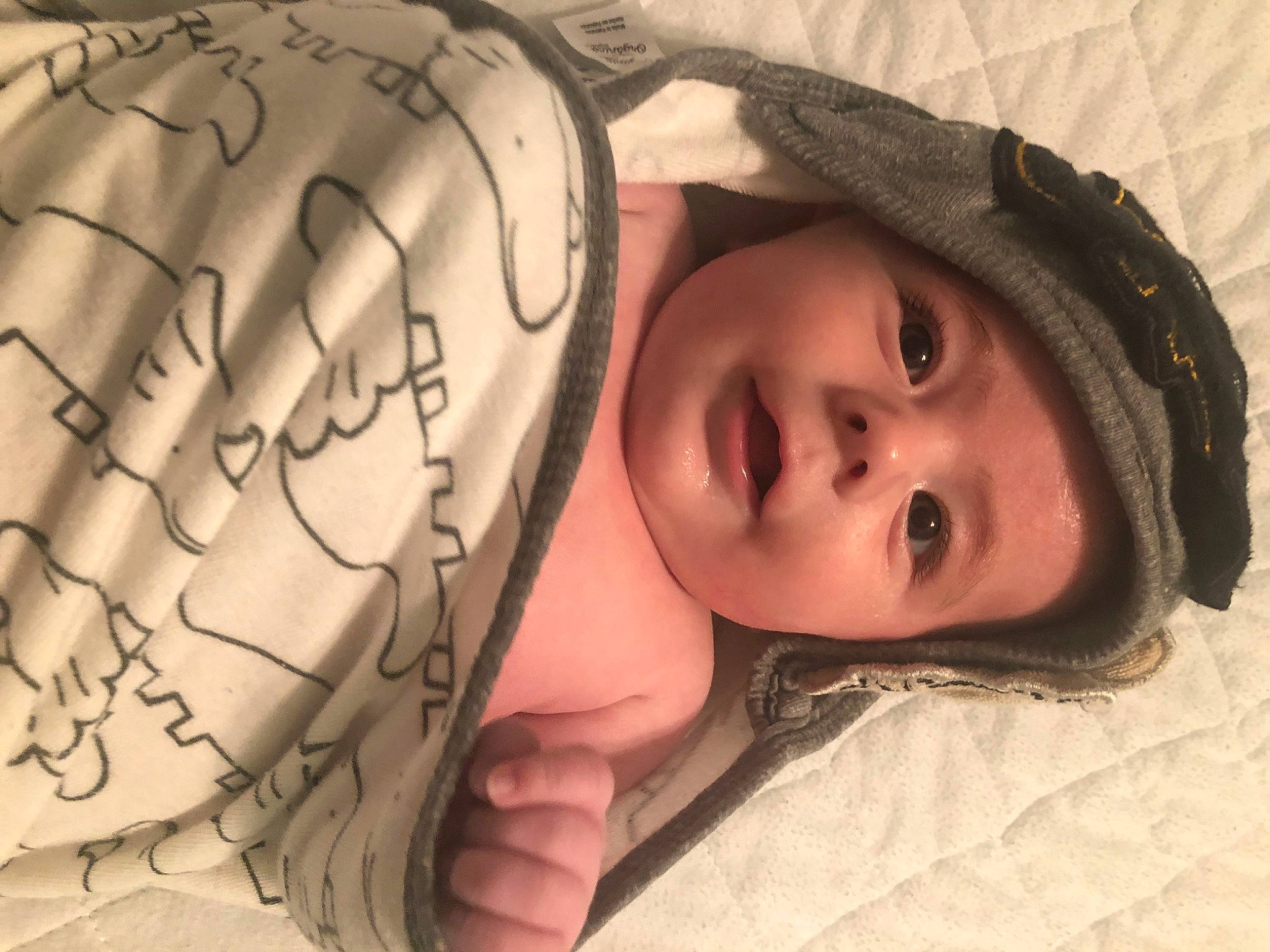 Caiden is registered to the contest to win money with this photo: baby, cheek, child, cool, ear, eye, face, forehead, happy, head, headgear, headwear, human, lip, mouth, nose, organ, person, photography, skin
