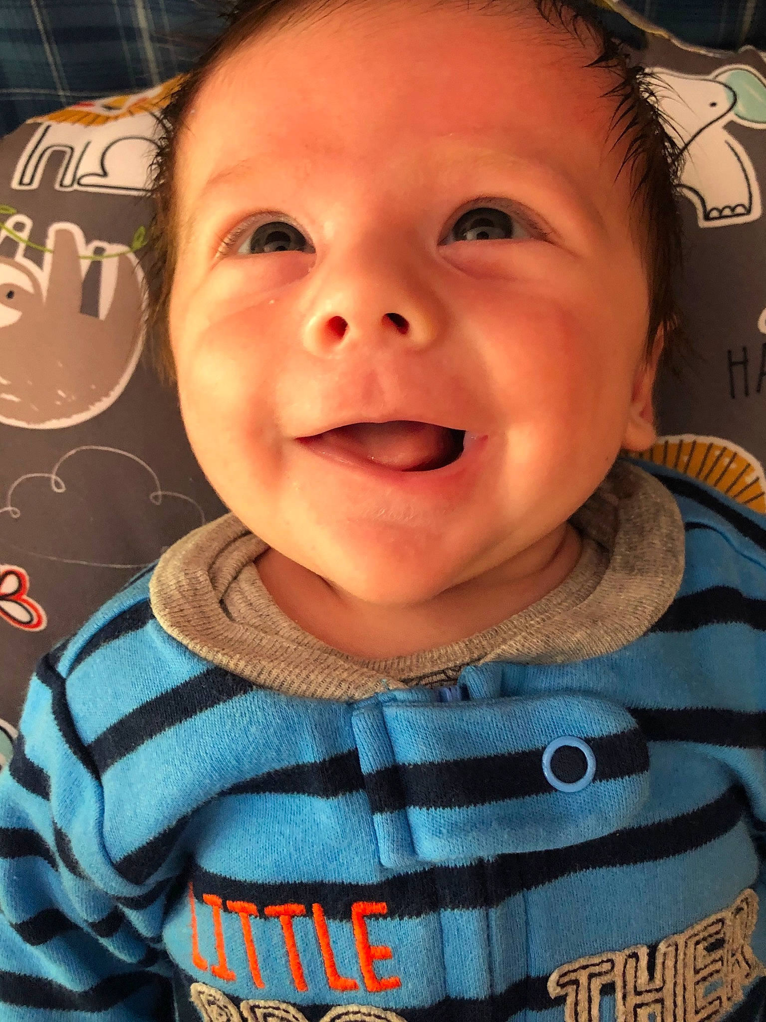 Caiden joined the competition — help win amazing prizes! baby, cheek, child, chin, cool, face, facial_expression, forehead, fun, happy, head, laugh, lip, mouth, nose, organ, person, skin, smile, toddler