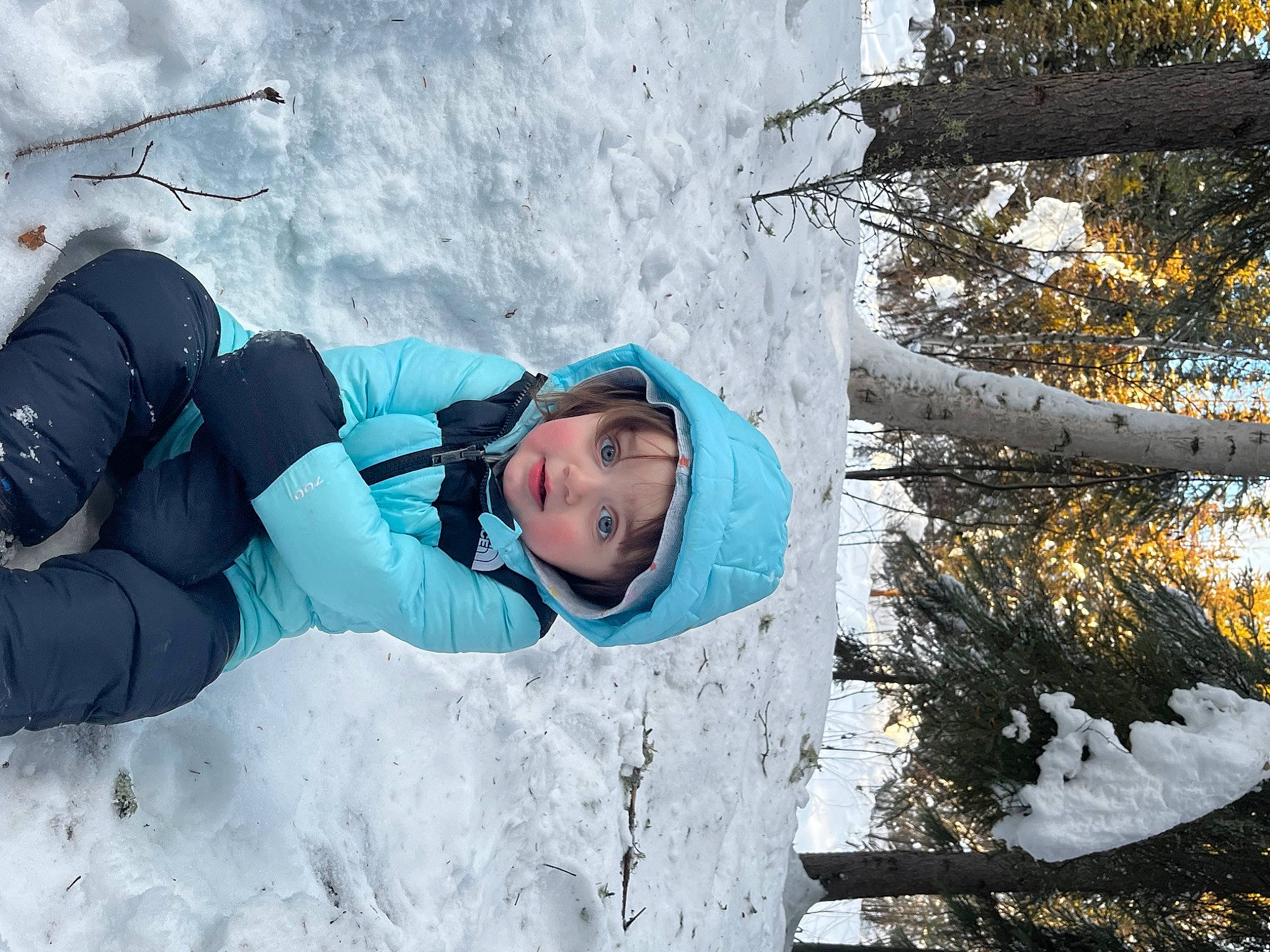 Juniper joined the competition — help win amazing prizes! adventure, electric_blue, forest, freezing, frost, fun, geological_phenomenon, glacial_landform, glove, headwear, ice_cap, leisure, mountaineer, person, plant, playing_in_the_snow, recreation, slope, snow, tree