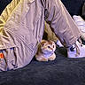 kitten, cat, pet, animal, cute, couch, person, pants, socks, indoor, furniture, resting, small, fur, legs, cozy, curious, domestic, companion, home