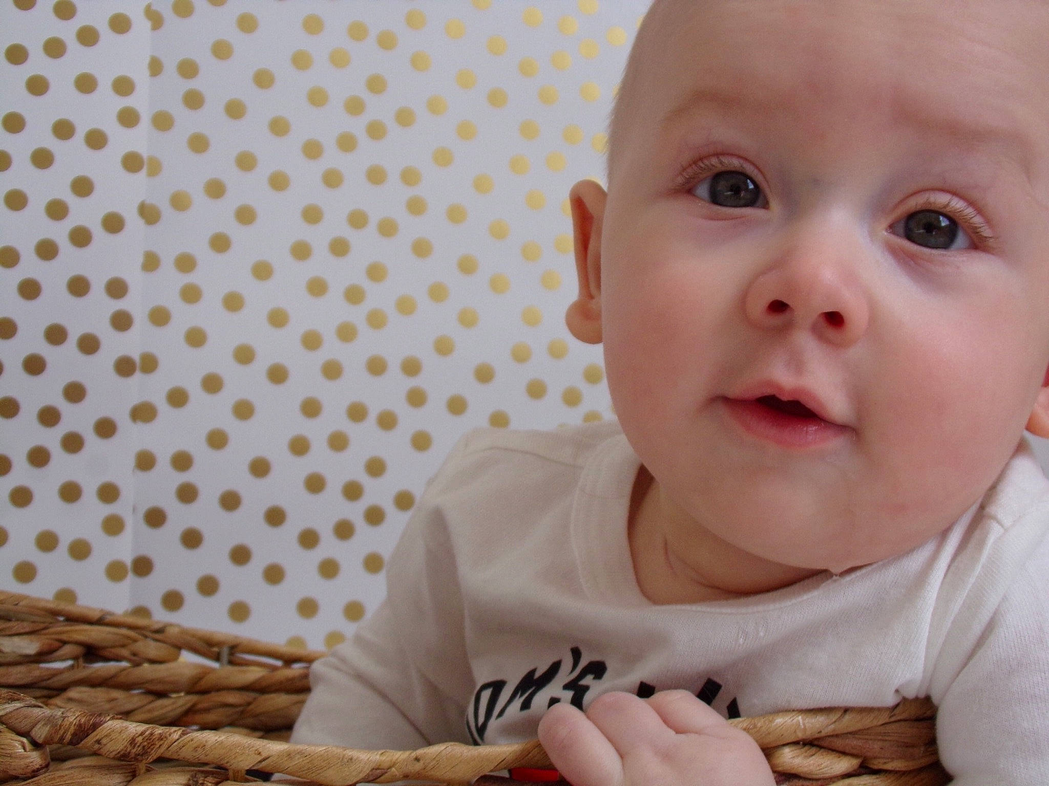 Ralph joined the competition — help win amazing prizes! baby, cheek, child, eating, facial_expression, finger, food, nose, person, smile, toddler