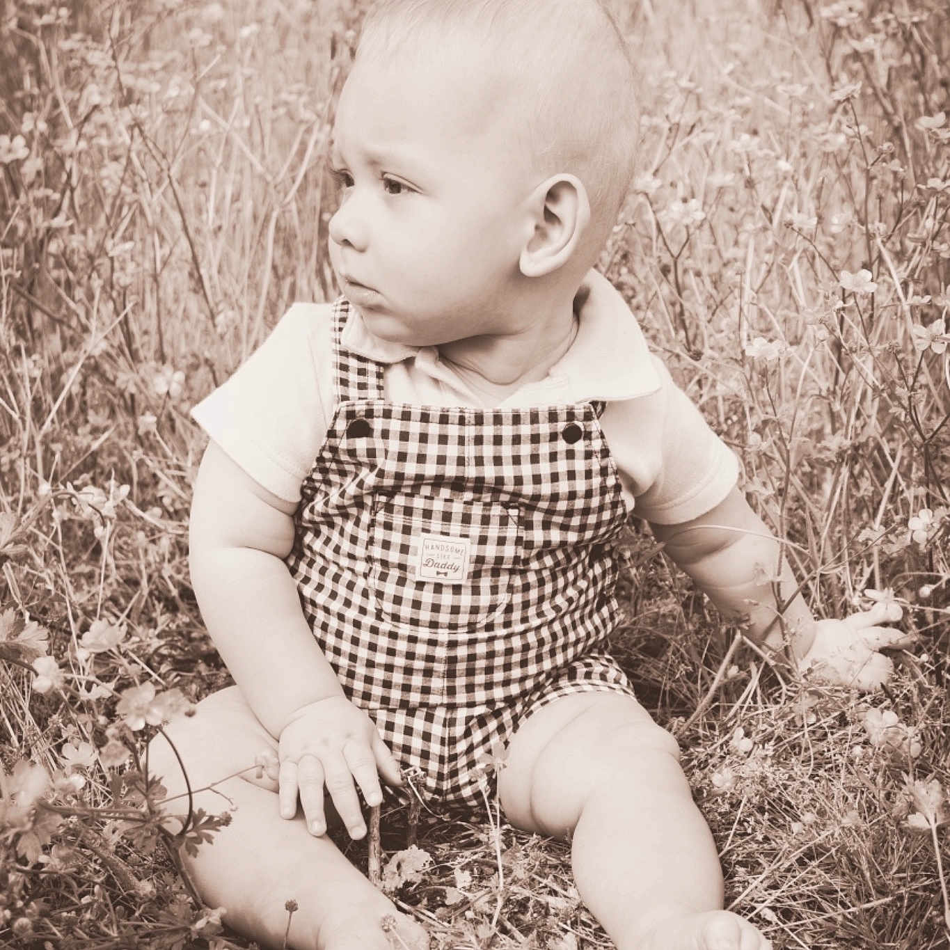 Ralph is registered to the contest to win money with this photo: adaptation, baby, black_and_white, child, grass, grass_family, monochrome, monochrome_photography, people_in_nature, photograph, photography, plant, portrait, portrait_photography, sitting, skin, stock_photography, style, toddler