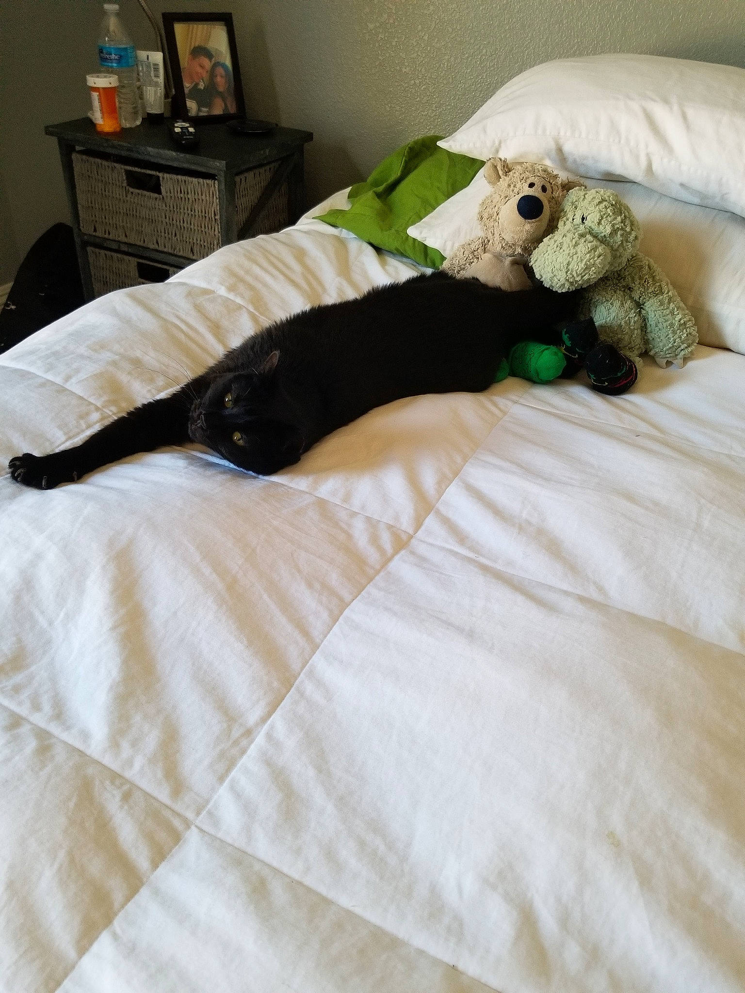 Handsome joined the competition — help win amazing prizes! bed_sheet, bedding, bedroom, blanket, canidae, comfort, companion_dog, furniture, joy, linens, person, pillow, room