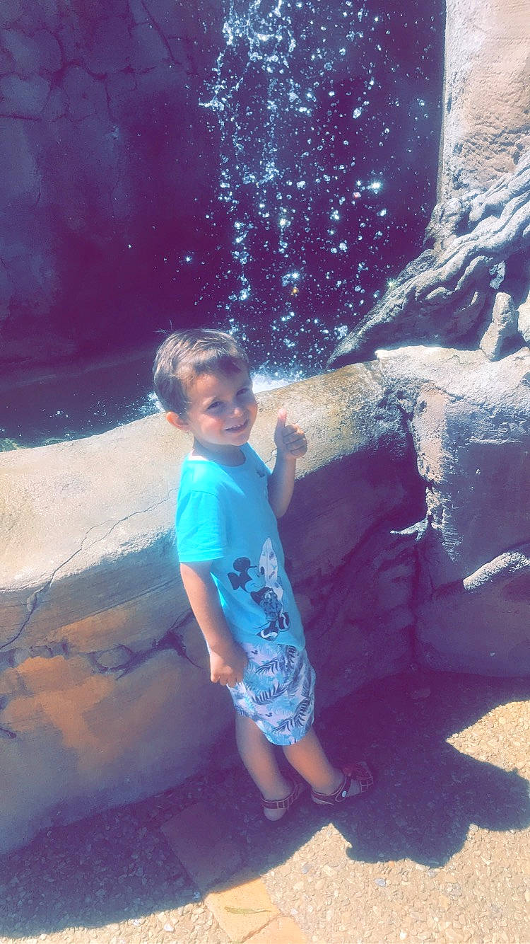 Maydan participe au concours pour gagner de l'argent avec cette photo : aqua, azure, body_of_water, electric_blue, fountain, fun, happy, joy, landscape, leg, leisure, person, recreation, rock, sandal, shorts, sunlight, t_shirt, tints_and_shades, tree