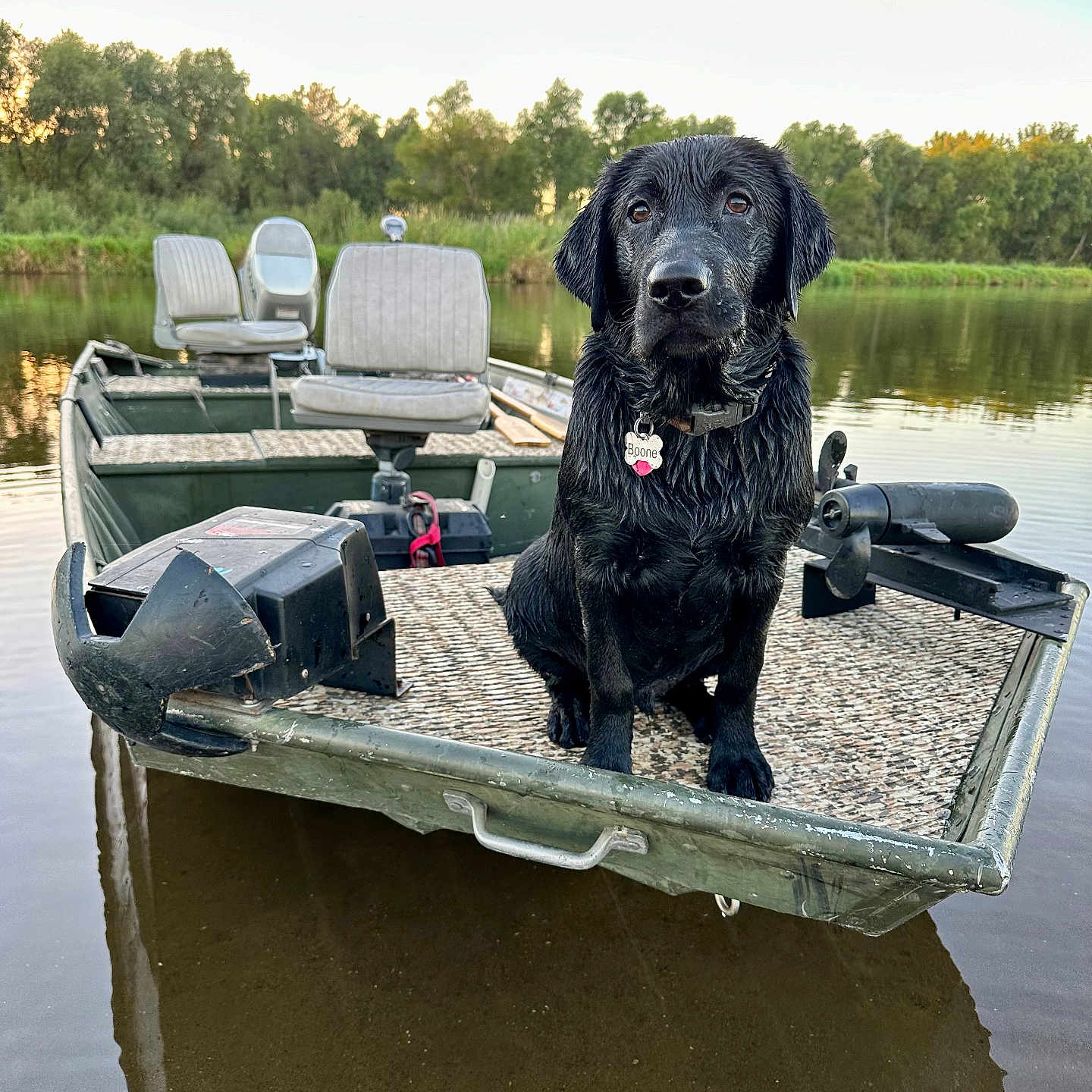 Boone is registered to the contest to win money with this photo: animal, boat, canine, chair, dinghy, dog, furniture, labradorretriever, lake, nature, outdoors, pet, pond, puppy, rowboat, transportation, vehicle, water, watercraft, waterfront