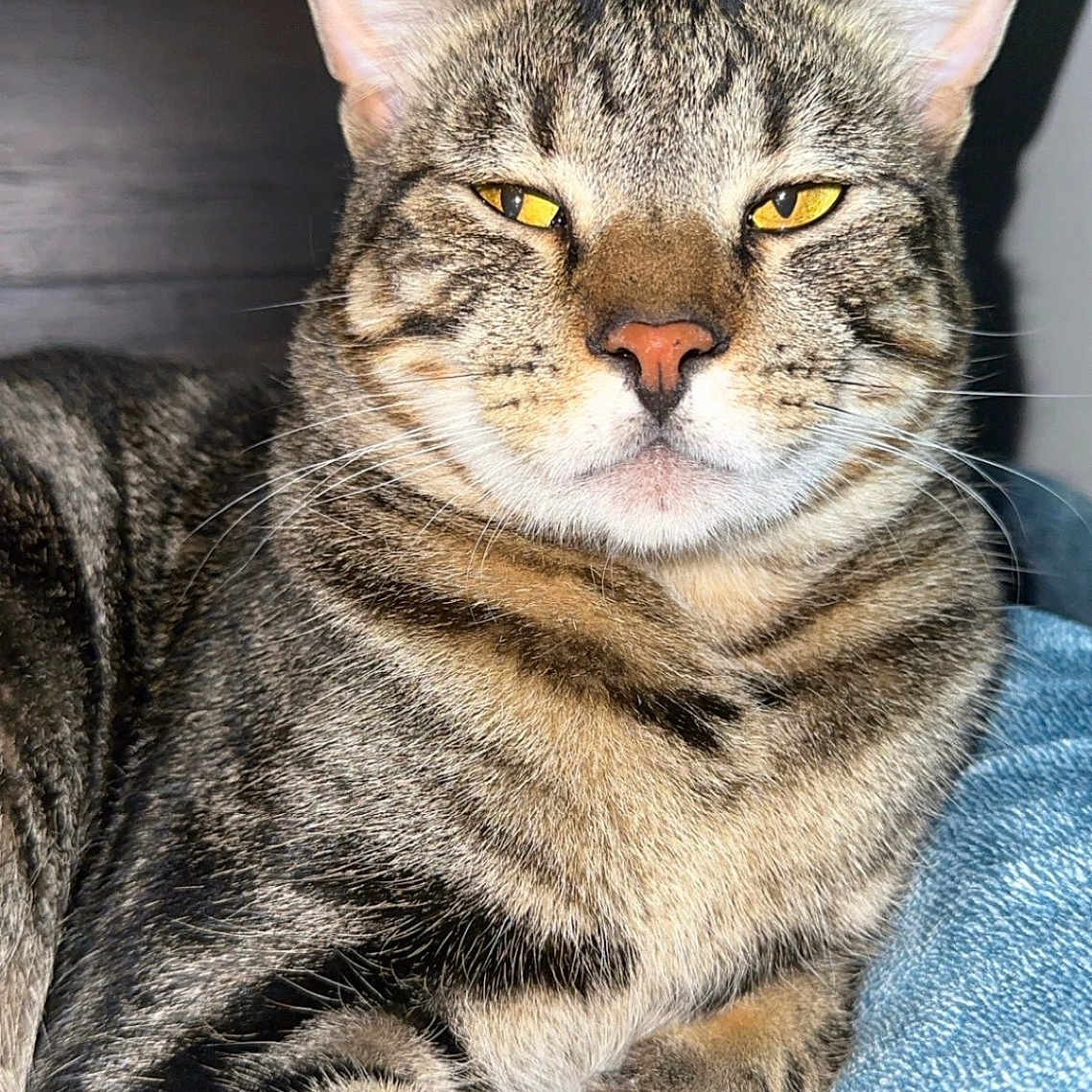 Coco