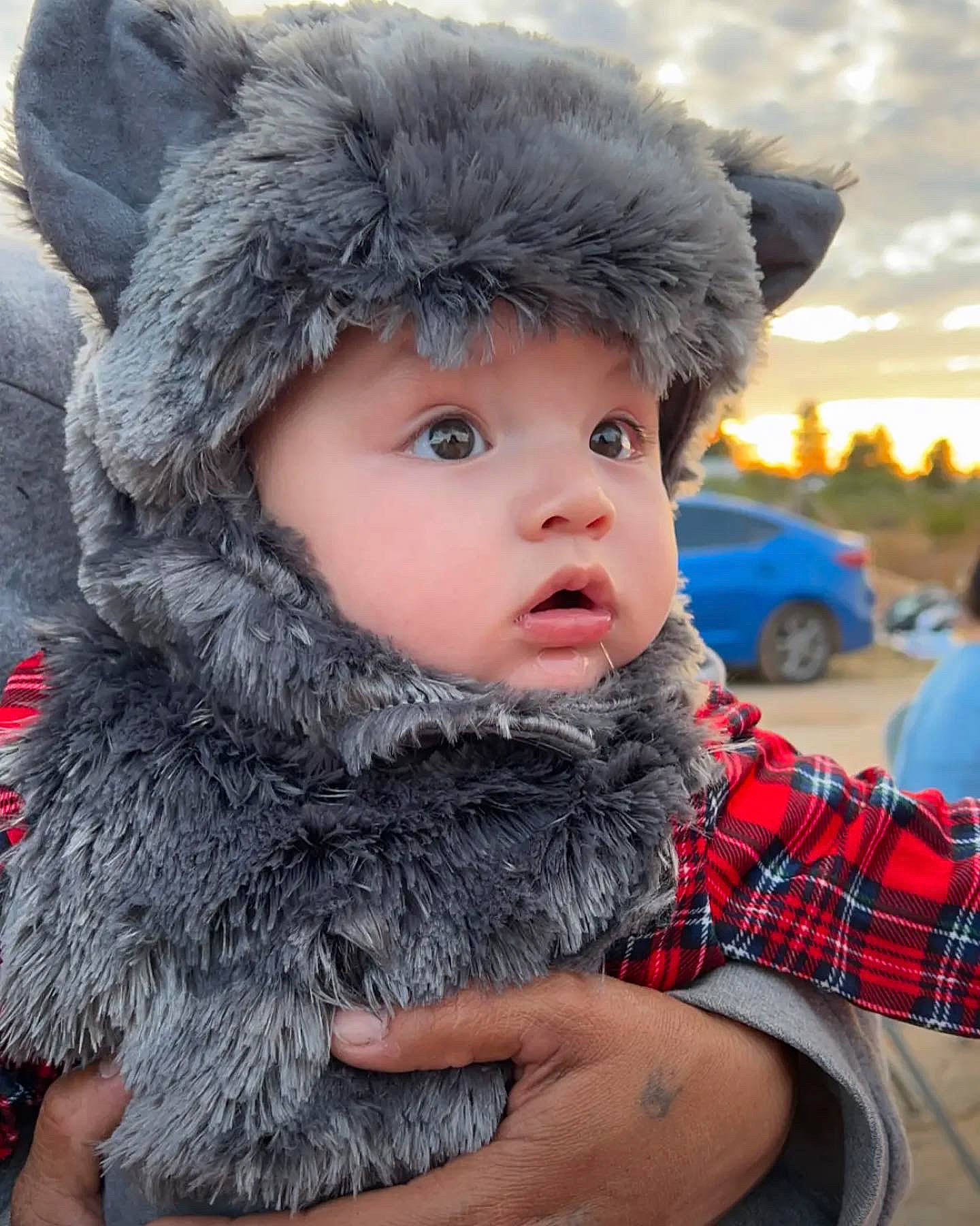Jaycee joined the competition — help win amazing prizes! animal_product, cap, child, freezing, fun, fur, fur_clothing, glove, hand, happy, hat, headgear, headwear, pattern, person, plaid, tartan, textile, toddler, tree