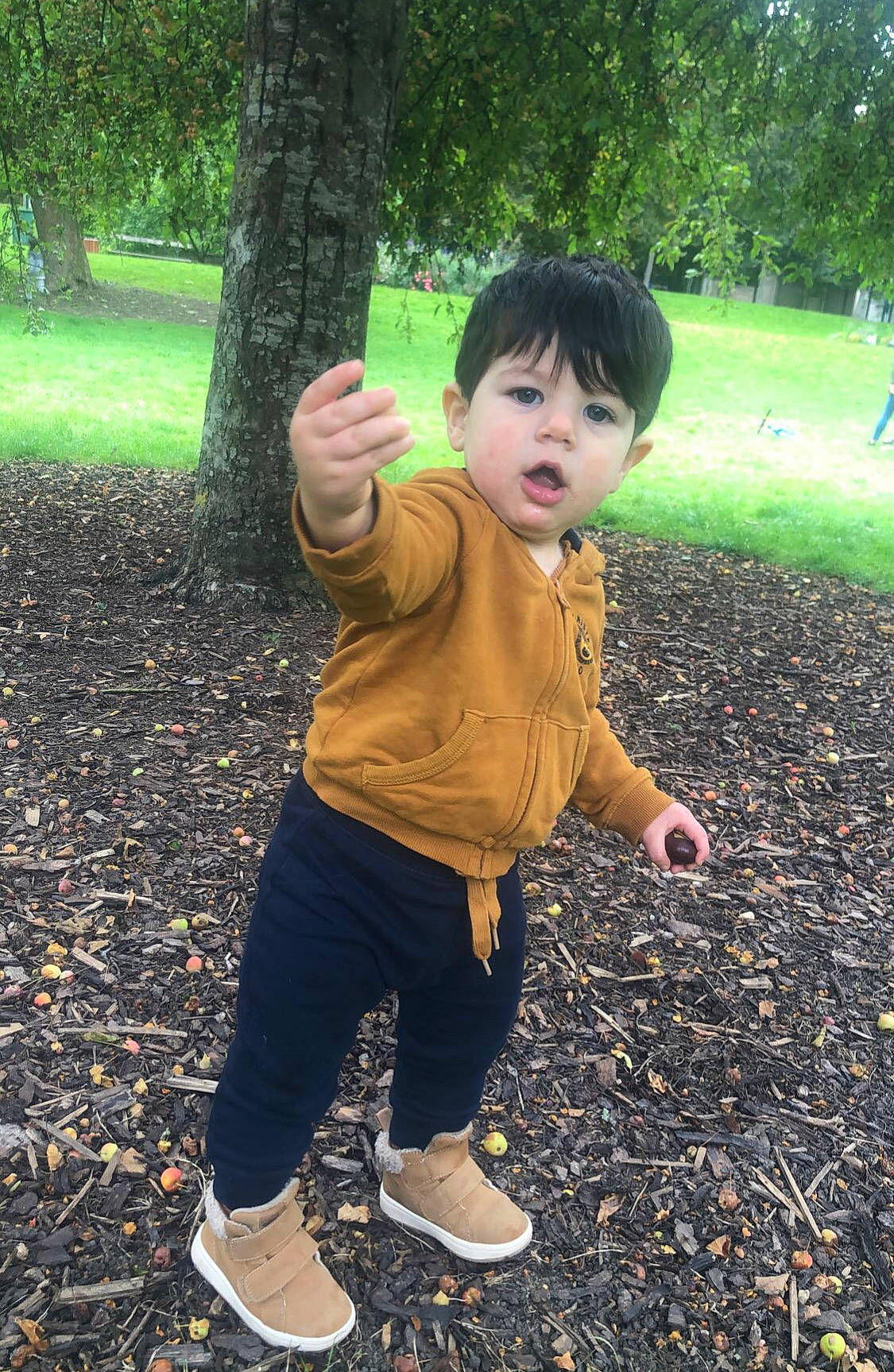 Hugo participe au concours pour gagner de l'argent avec cette photo : baby_toddler_clothing, ball, cool, eye, gesture, grass, green, happy, leaf, leisure, people_in_nature, person, plant, shoe, sleeve, sneakers, sunlight, surprise, tints_and_shades, toddler