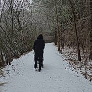 Kiy is registered to the contest to win money with this photo: snow, winter, forest, trees, path, person, stroller, hoodie, walking, outdoor, nature, cold, footpath, woods, leafless_trees, seasonal, trail, back_view, casual_clothing, overcast