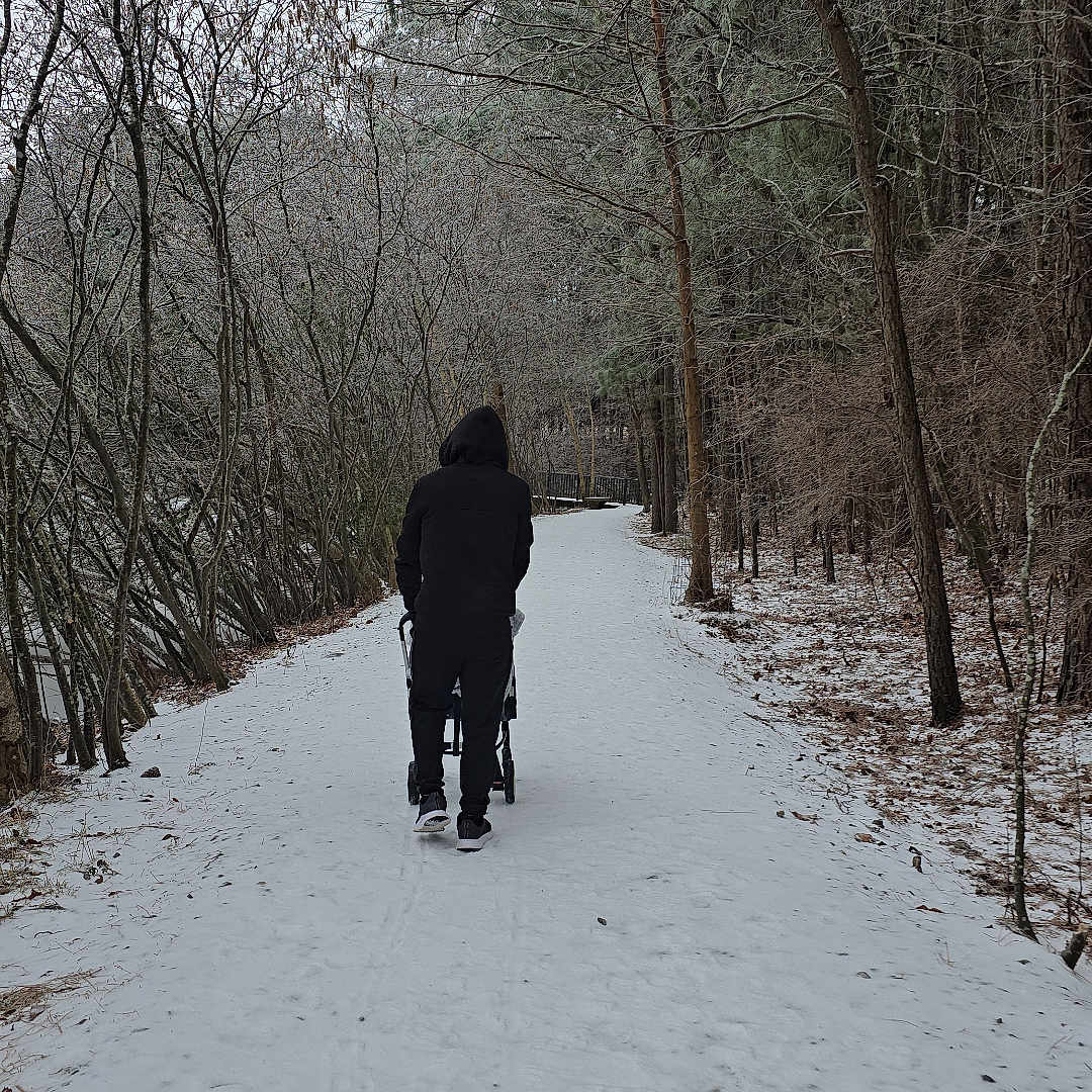 Kiy is registered to the contest to win money with this photo: back_view, casual_clothing, cold, footpath, forest, hoodie, leafless_trees, nature, outdoor, overcast, path, person, seasonal, snow, stroller, trail, trees, walking, winter, woods