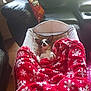 dog, blanket, red_blanket, snowflake_pattern, cushion, baby_seat, leather_couch, snack_bag, indoor, wooden_floor, pet, resting, comfort, relaxation, small_dog, ears_up, looking_up, home_interior, furniture, cozy