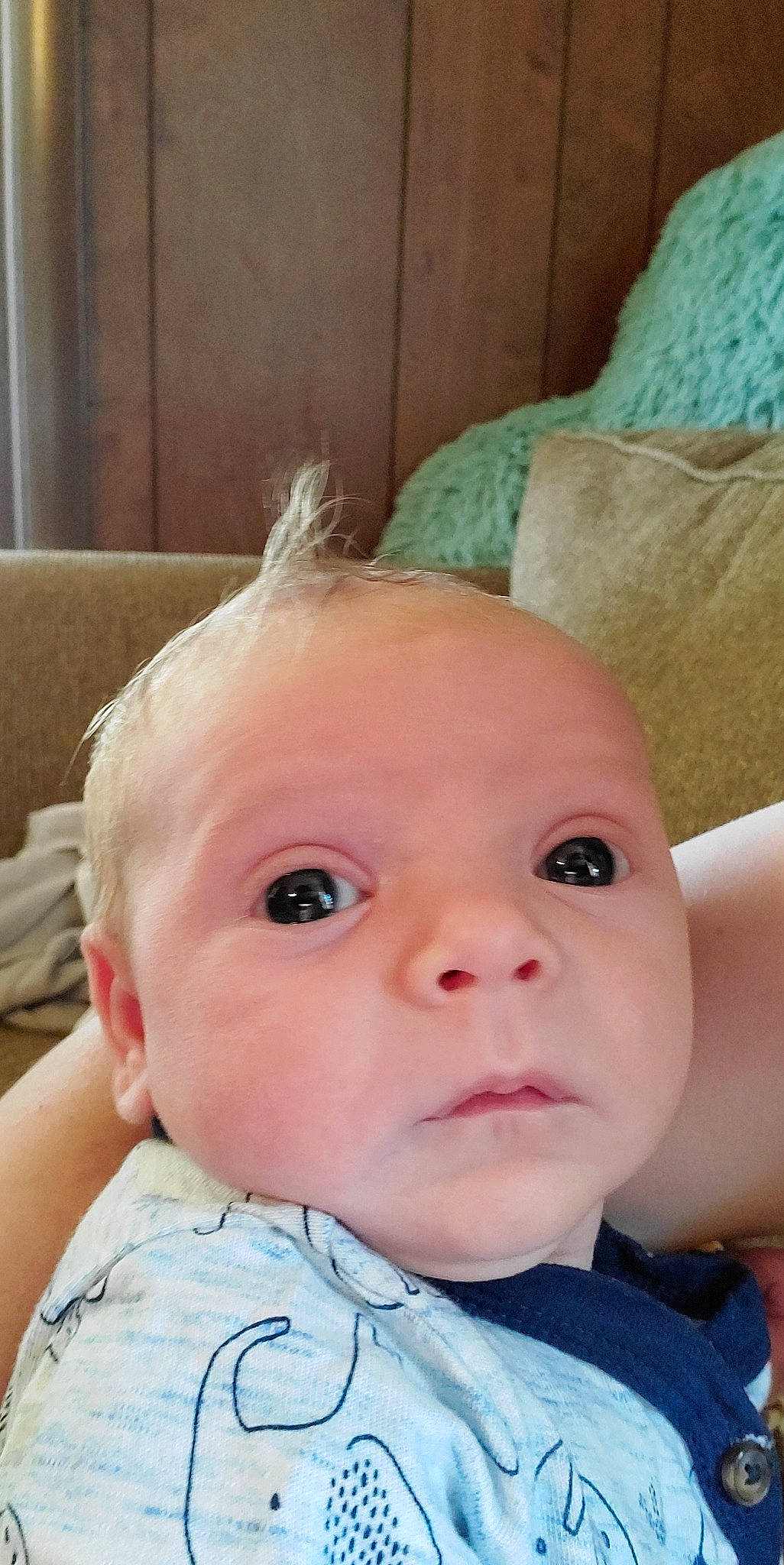 Cedric is registered to the contest to win money with this photo: baby, baby_making_funny_faces, cheek, child, chin, ear, eye, eyebrow, face, forehead, head, lip, mouth, nose, person, skin, toddler