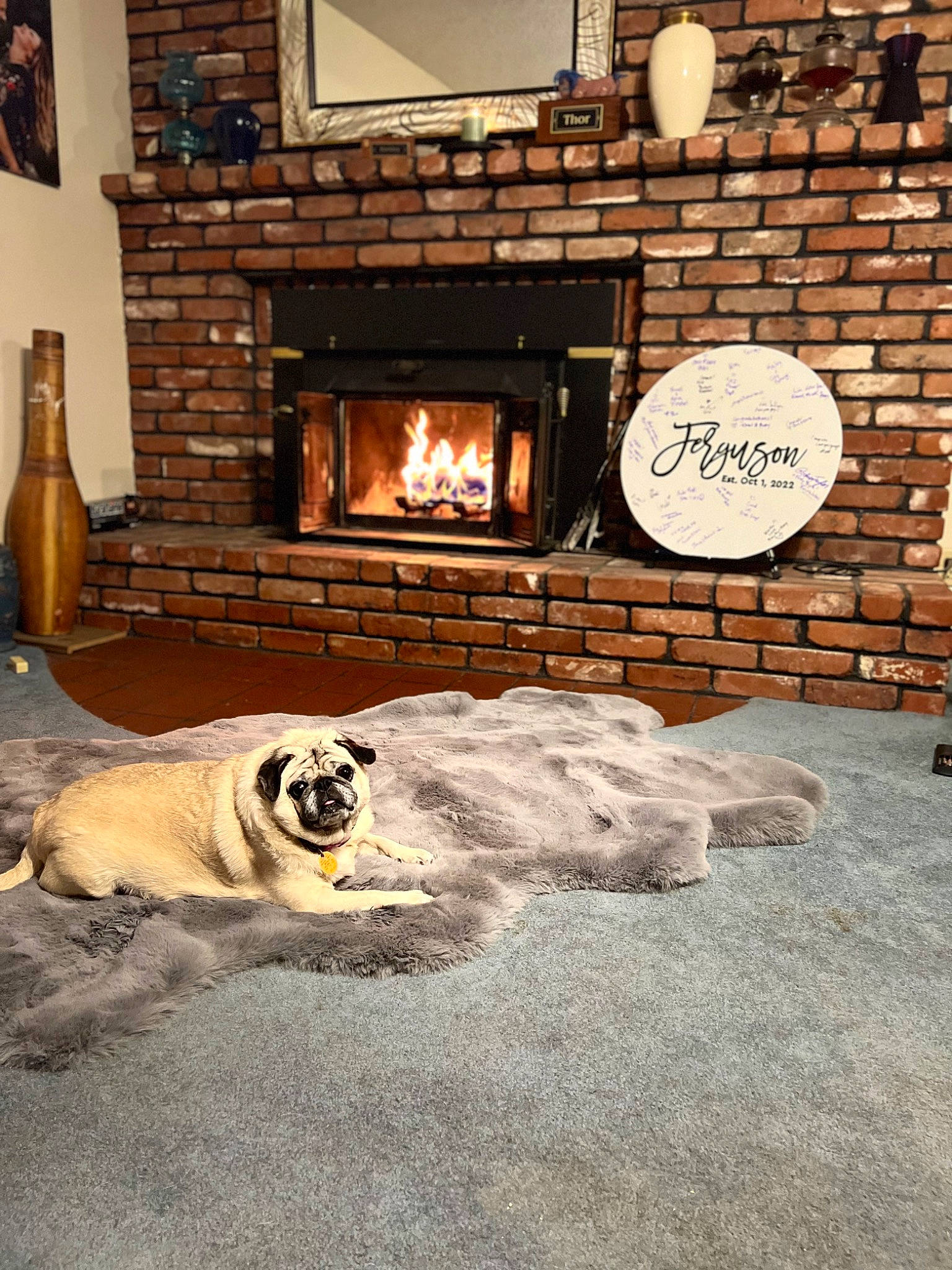 Juju is registered to the contest to win money with this photo: brick, brickwork, carnivore, comfort, companion_dog, dog, dog_breed, door, fawn, floor, flooring, gas, hearth, heat, lighting, living_room, picture_frame, road_surface, tints_and_shades, wood