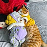 cat, orange_tabby, plush_toy, pajamas, bed, cushion, red_cushion, sleeping, cozy, indoor, soft_toy, stuffed_animal, nap, cute, pet, feline, fur, resting, home, comfort