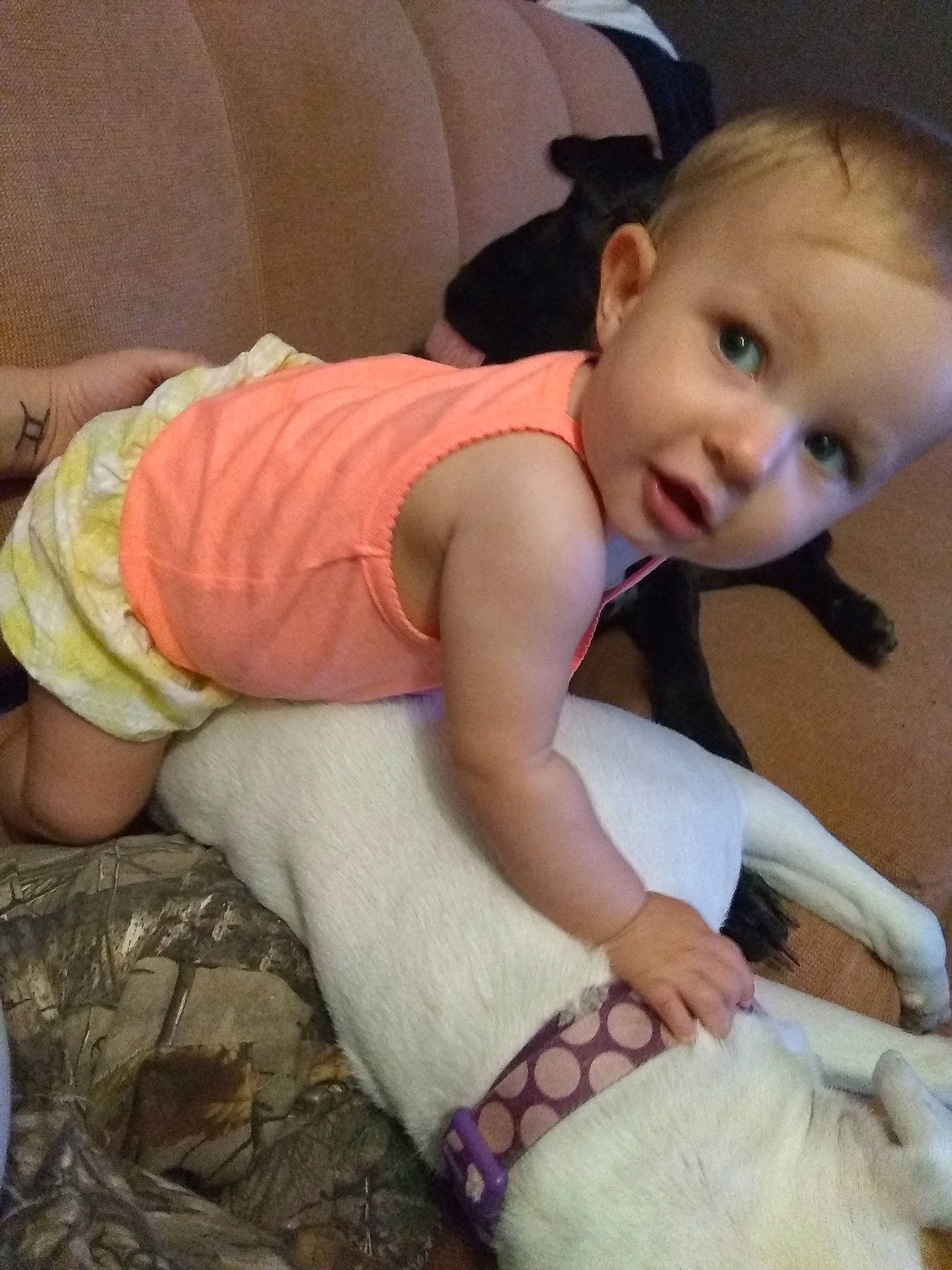 Haven is registered to the contest to win money with this photo: baby, cheek, child, leg, person, smile, toddler