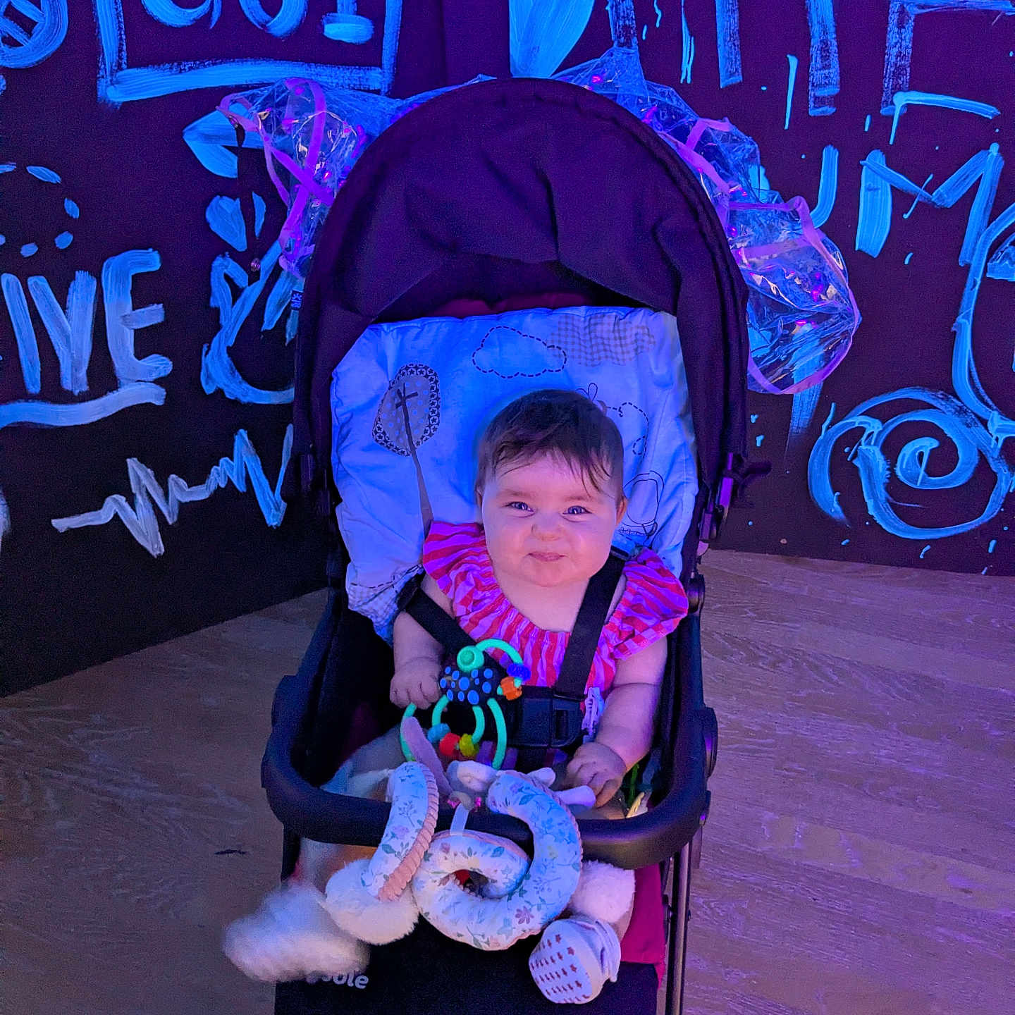 Laylah Mae is registered to the contest to win money with this photo: baby, background, child, clothing, colorful, cute, face, floor, graffiti, happy, indoor, infant, person, playful, seat, smiling, stroller, toy, wall, wooden_floor