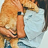 affection, animal, casual_clothing, cat, close_up, cute, furry, green_eyes, holding, human, indoor, jeans, kiss, long_hair, love, orange_cat, pet, portrait, watch, woman