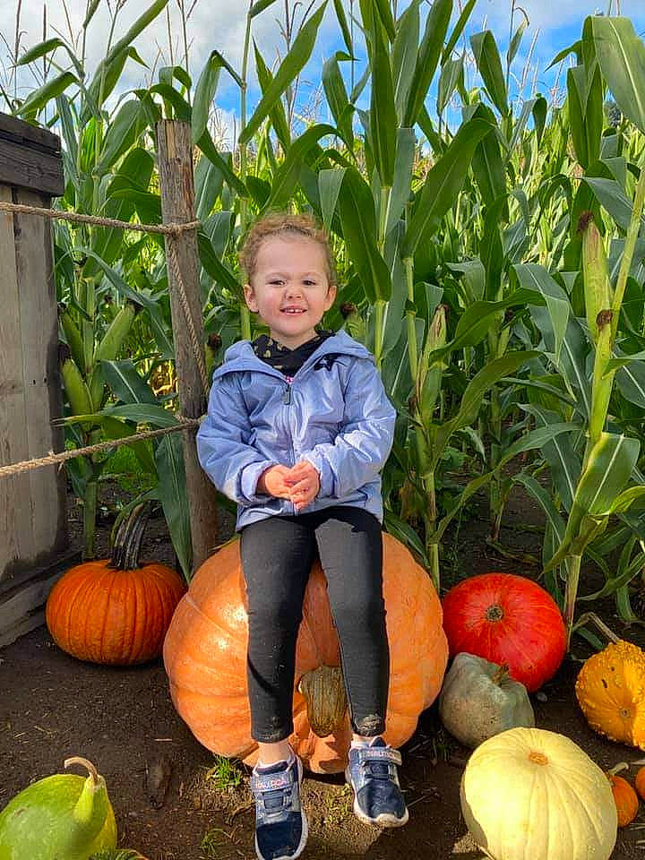 Catherine joined the competition — help win amazing prizes! botany, calabaza, cucurbita, flowerpot, fruit, gourd, grass, green, joy, leaf, natural_foods, orange, people, people_in_nature, person, plant, pumpkin, sky, smile, squash