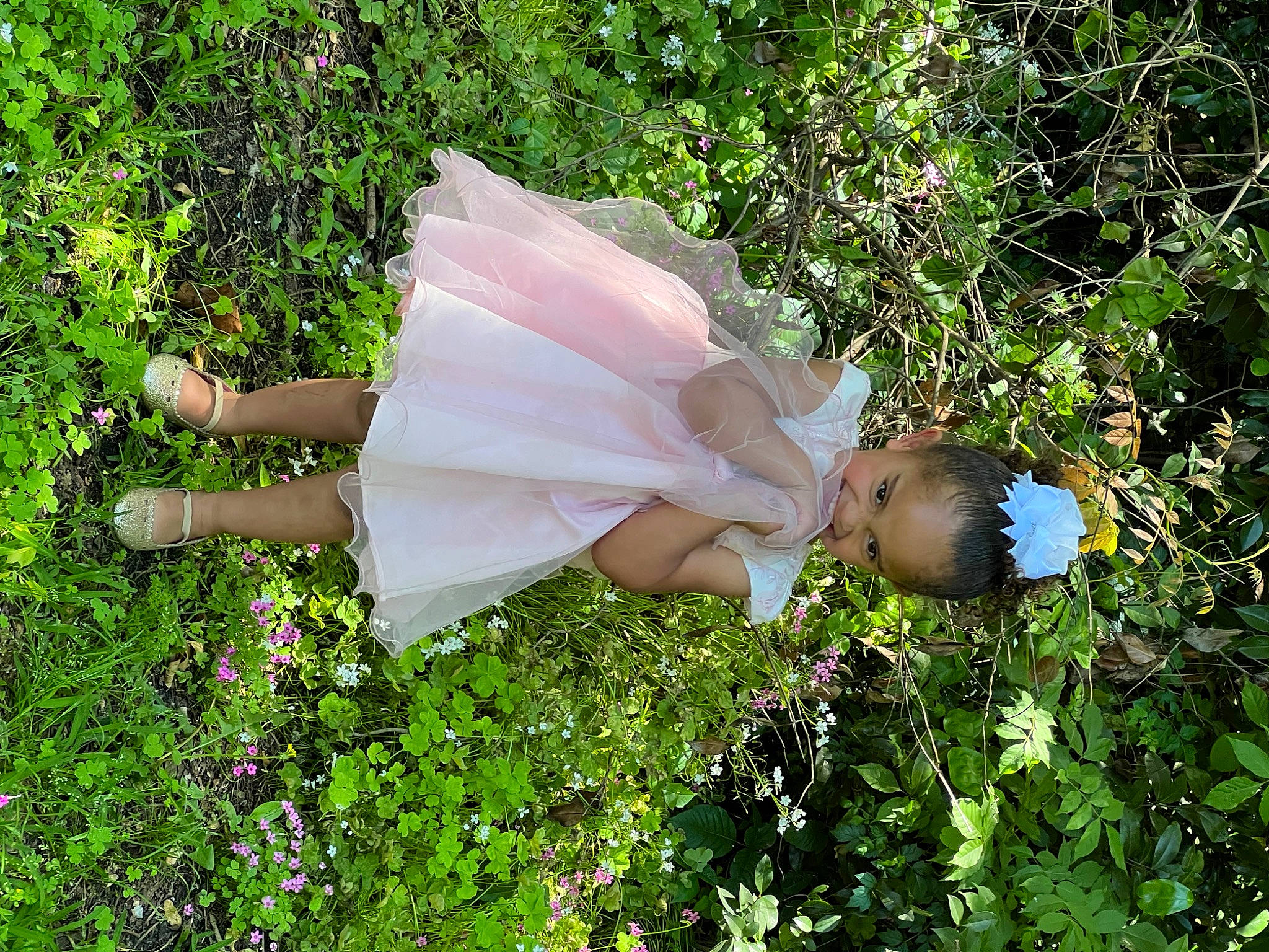 Harmony joined the competition — help win amazing prizes! annual_plant, flower, flowering_plant, garden, gardening, gesture, grass, green, groundcover, happy, herb, human_leg, joy, people_in_nature, person, petal, plant, rose_family, shrub, thigh