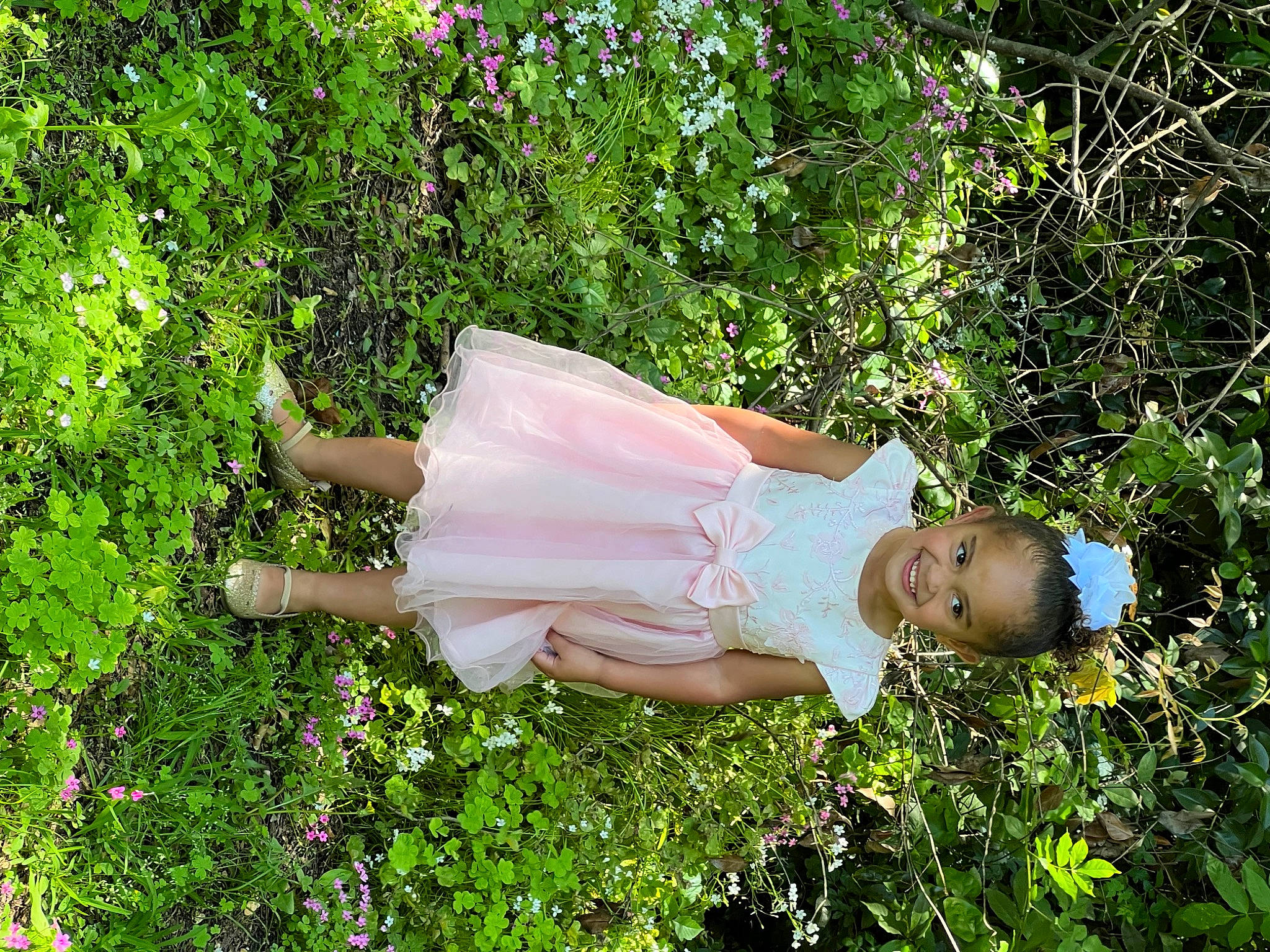 Harmony is registered to the contest to win money with this photo: day_dress, flower, flowering_plant, fun, garden, gardening, grass, grass_family, groundcover, happy, joy, leisure, meadow, people_in_nature, person, petal, plant, rose_family, shrub, thigh