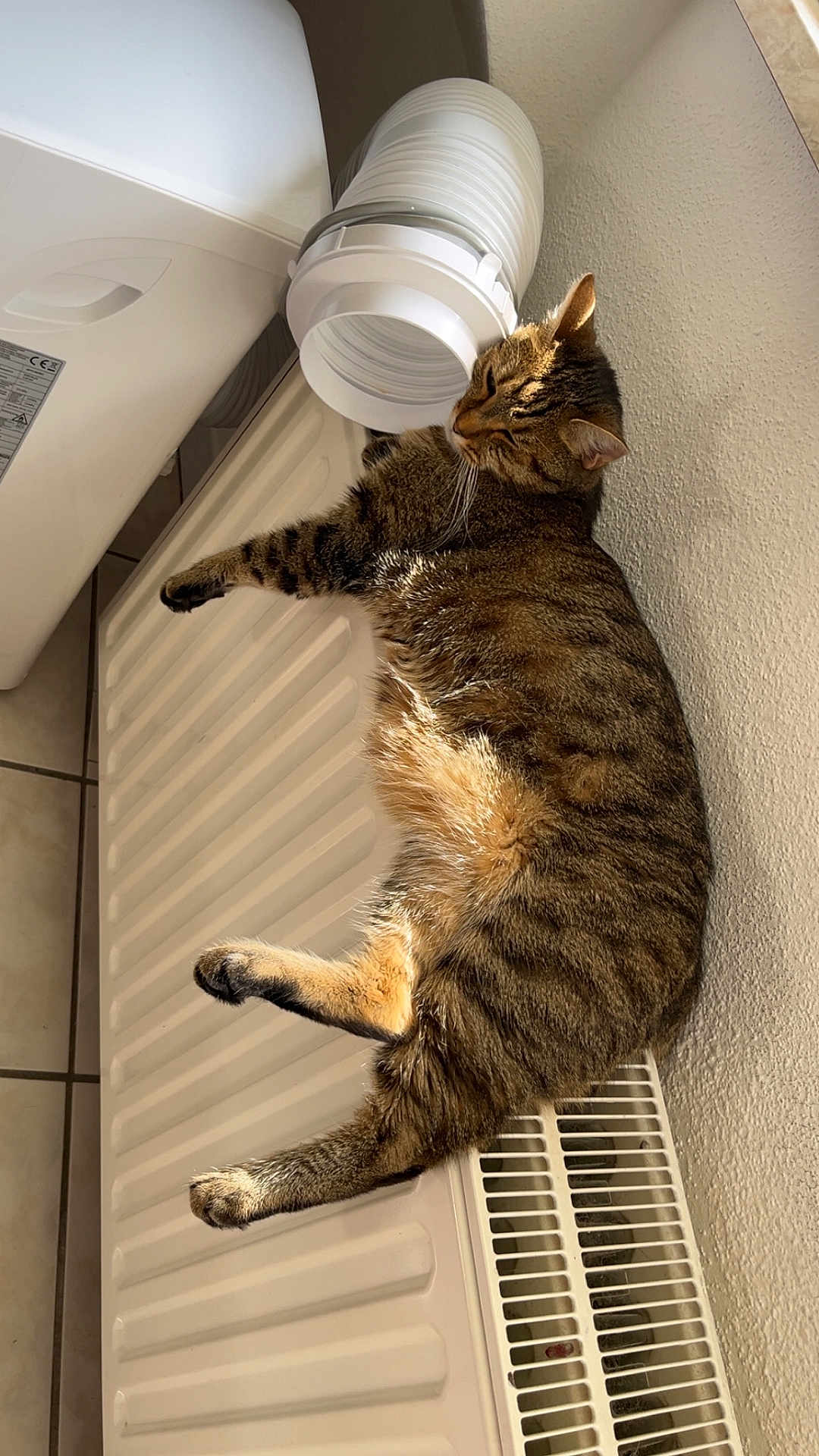 Tigrou