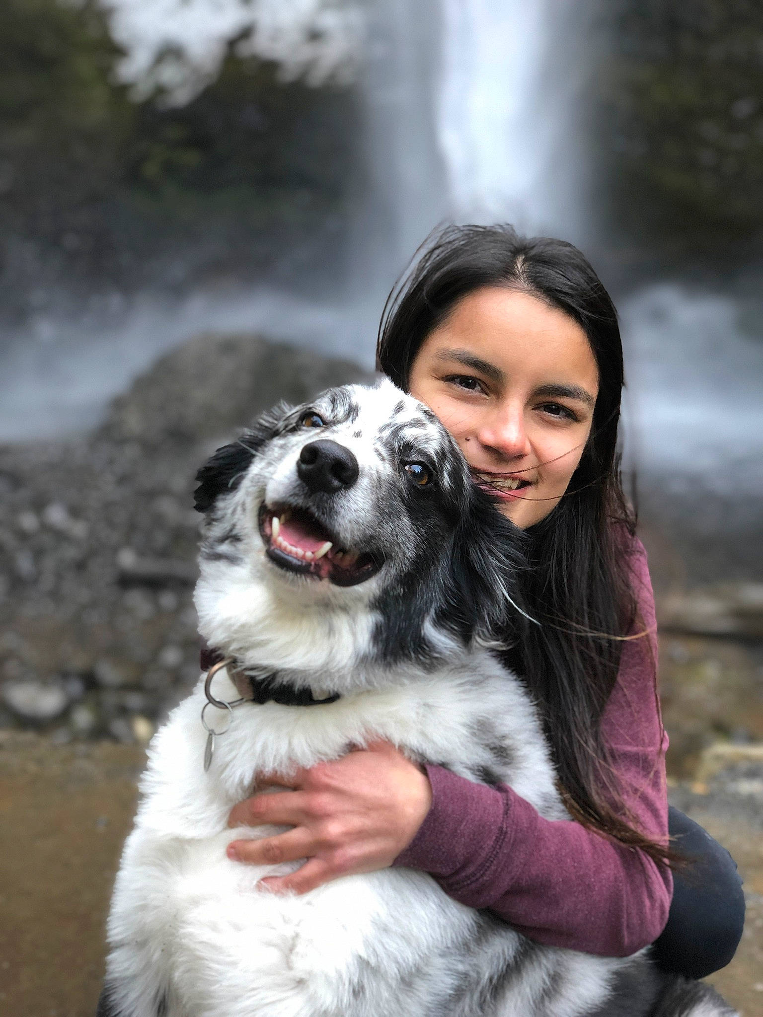 Jack Rigby is registered to the contest to win money with this photo: australian_shepherd, border_collie, canidae, carnivore, carpathian_shepherd_dog, companion_dog, dog, dog_breed, fur, mammal, pyrenean_mastiff, tornjak