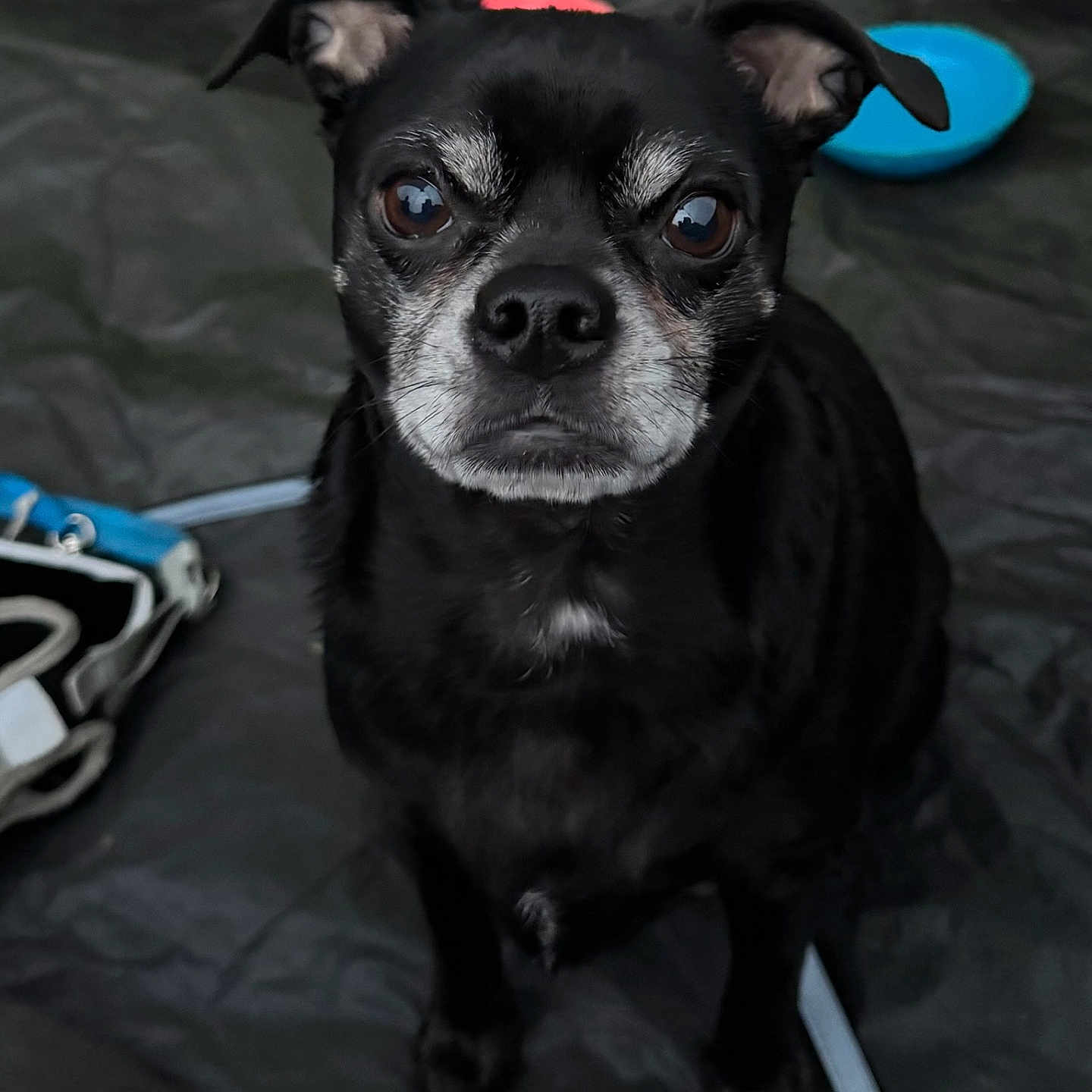 Kuro
