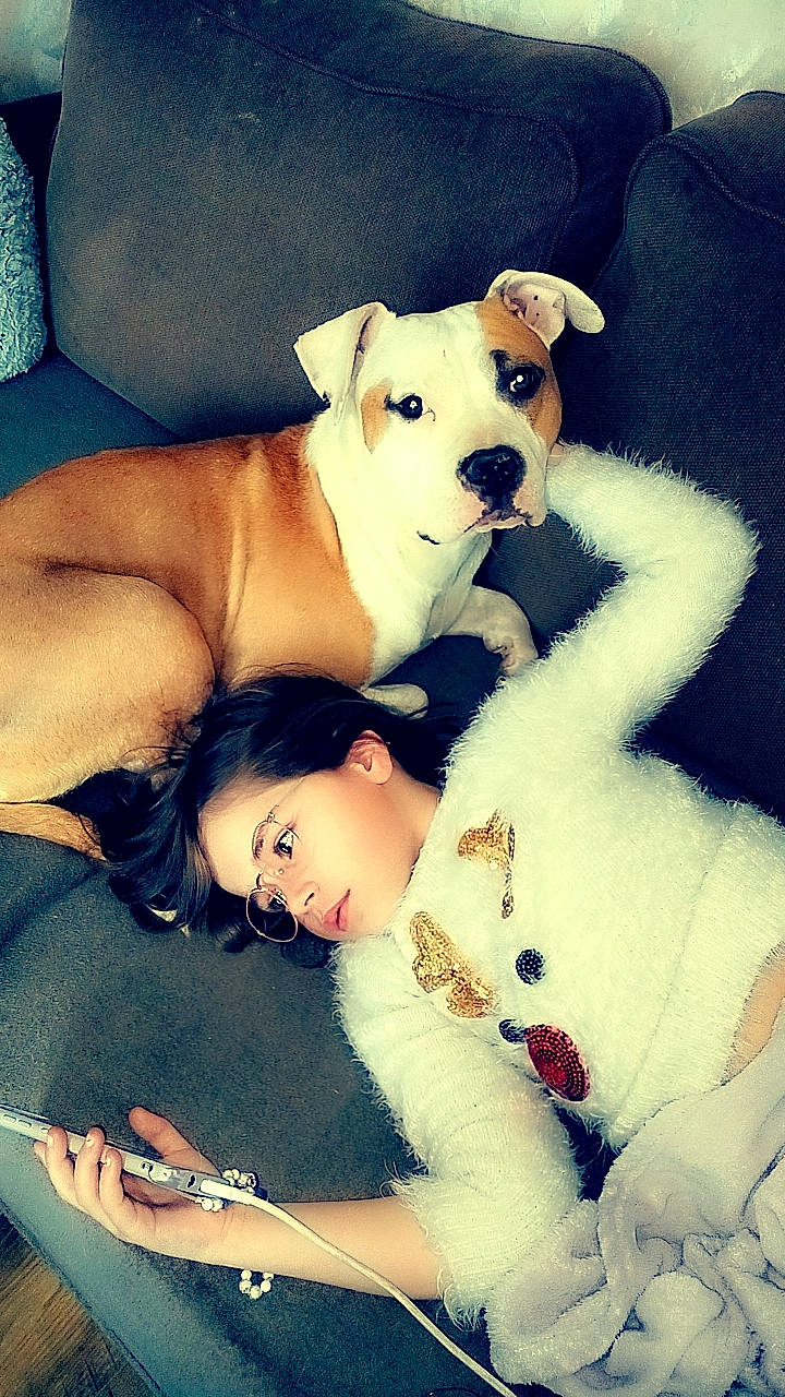 Sia participe au concours pour gagner de l'argent avec cette photo : abdomen, canidae, carnivore, chest, comfort, companion_dog, dog, dog_breed, fawn, flash_photography, fur, happy, love, paw, photograph, sitting, toy, toy_dog, trunk, working_animal