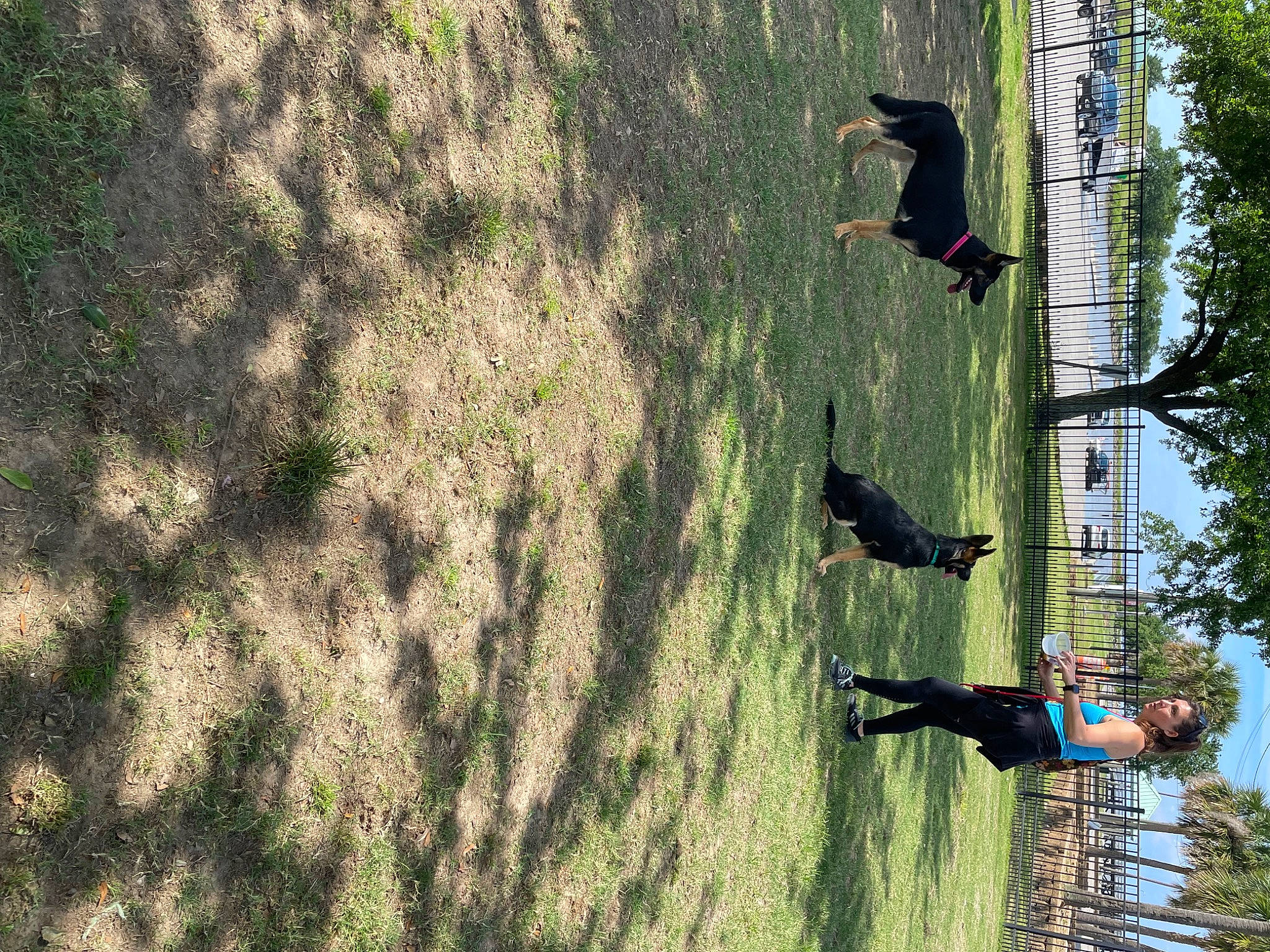 Lexie joined the competition — help win amazing prizes! biome, grass, landscape, perching_bird, plant, recreation, reflection, shade, shadow, shrub, soil, tail, tints_and_shades, tree, trunk, twig, vertebrate, water, wildlife, wood