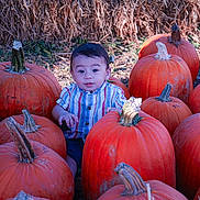 Noah joined the competition — help win amazing prizes! child, toddler, pumpkin, orange, hay, fall, autumn, outdoor, nature, sitting, curious, baby, seasonal, harvest, festival, cute, portrait, clothing, striped_shirt, smile