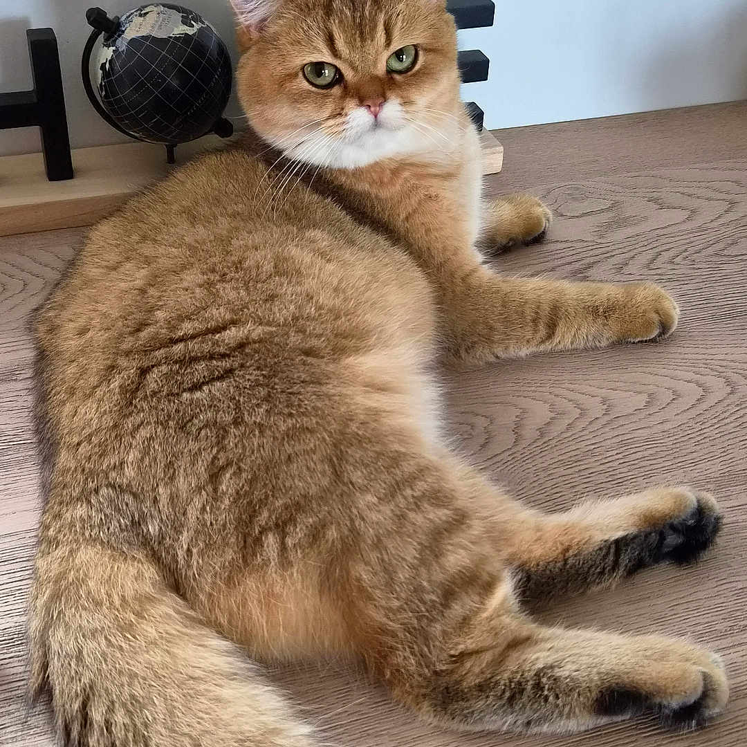 Billy