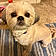 Sadie