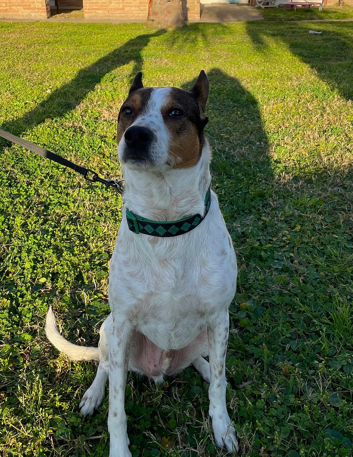 Cooper