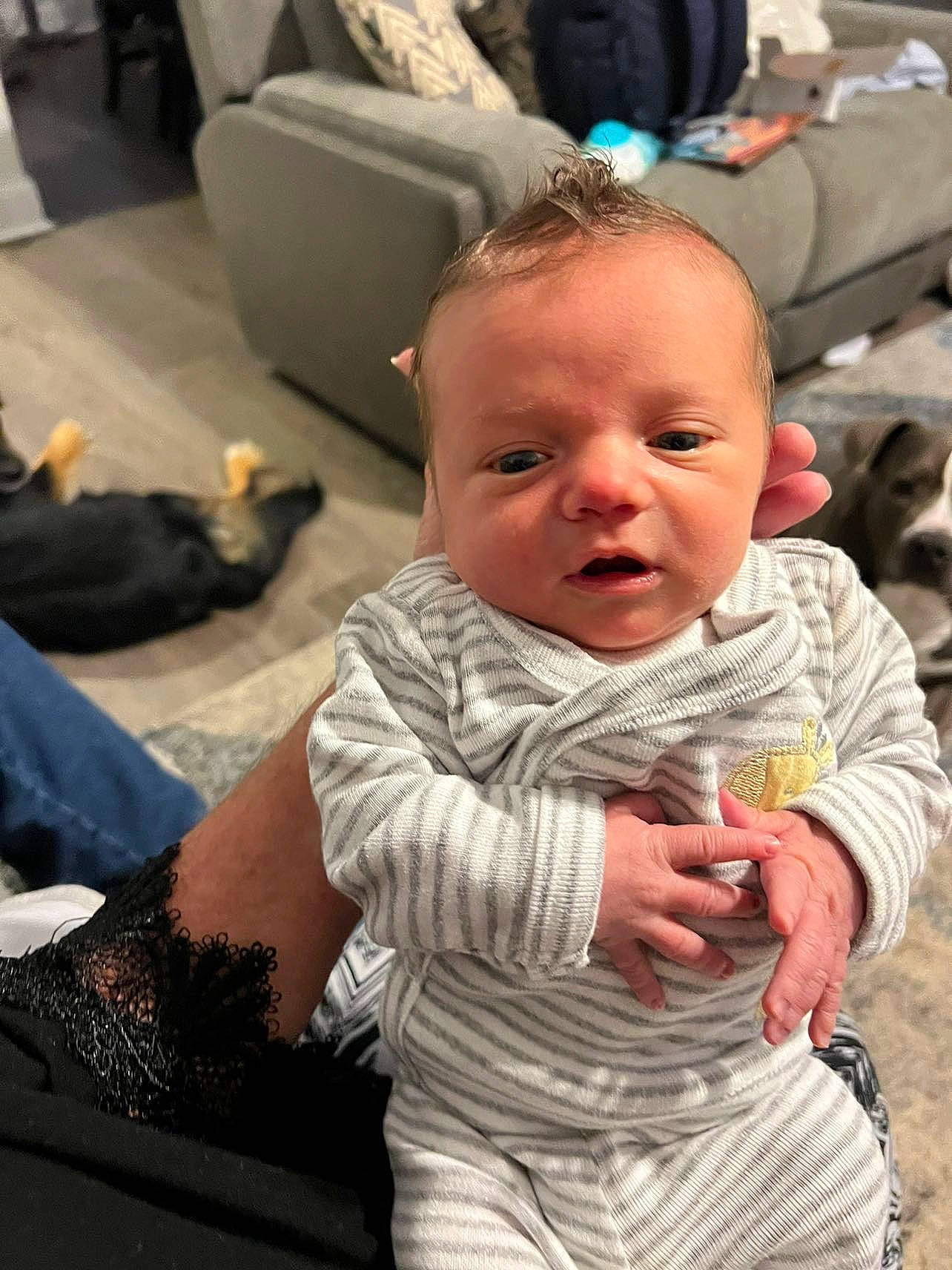 Jaiden is registered to the contest to win money with this photo: abdomen, baby, baby_toddler_clothing, child, comfort, companion_dog, couch, event, family, fun, gesture, happy, head, person, room, sitting, skin, sleeve, toddler, vacation