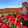 Aaron joined the competition — help win amazing prizes! baby, child, tulip, flower, field, outdoor, nature, sky, greenery, plant, person, summer, daylight, colorful, cute, happy, holding, clothing, portrait, garden