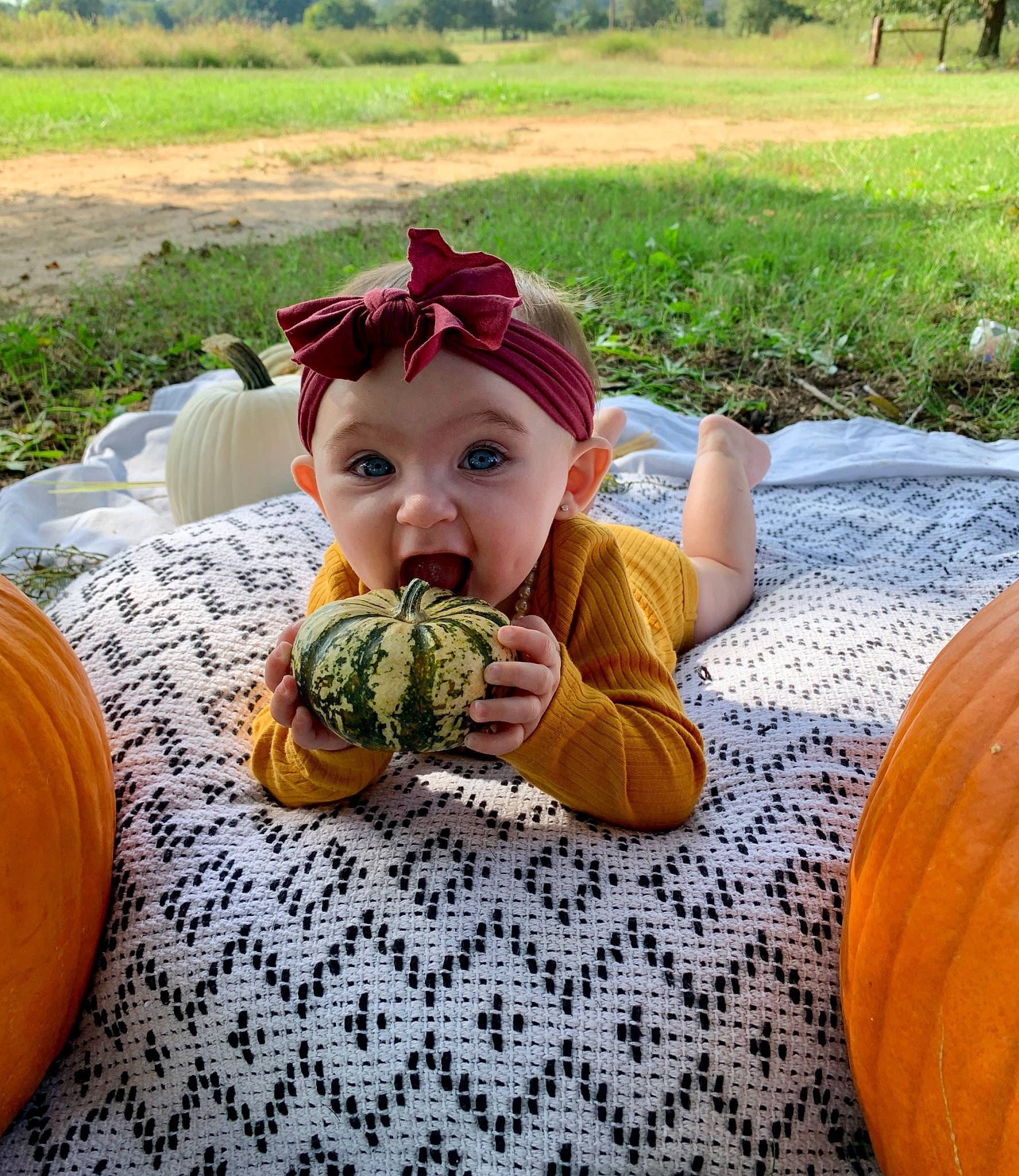 Ava Grace is registered to the contest to win money with this photo: baby_toddler_clothing, botany, calabaza, child, cucurbita, fruit, gourd, grass, happy, hat, headwear, natural_foods, people_in_nature, person, plant, pumpkin, snapshot, squash, toddler, tree
