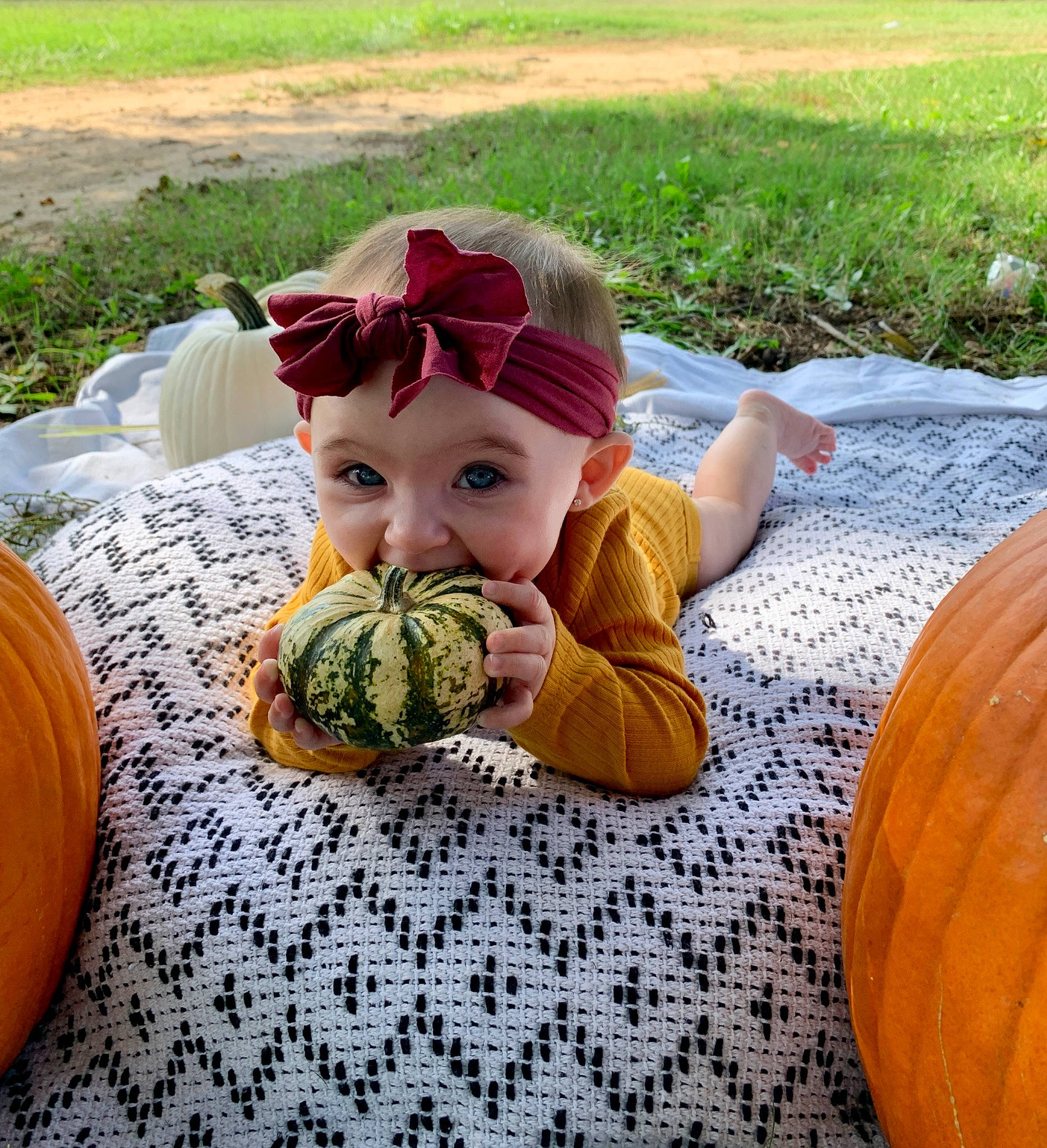 Ava Grace joined the competition — help win amazing prizes! baby_toddler_clothing, botany, calabaza, cucurbita, fruit, gourd, grass, happy, hat, leaf, leisure, natural_foods, people, people_in_nature, person, photograph, plant, pumpkin, squash, toddler