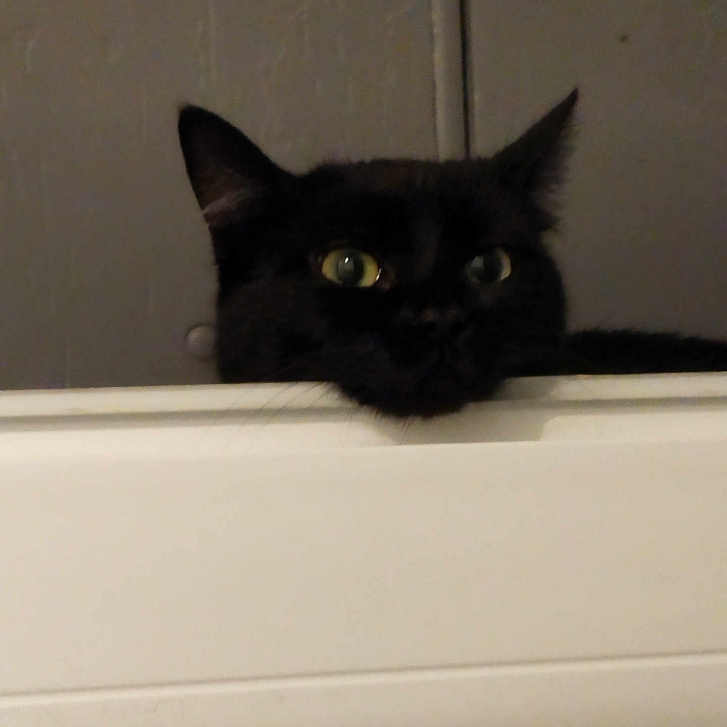 Drawny