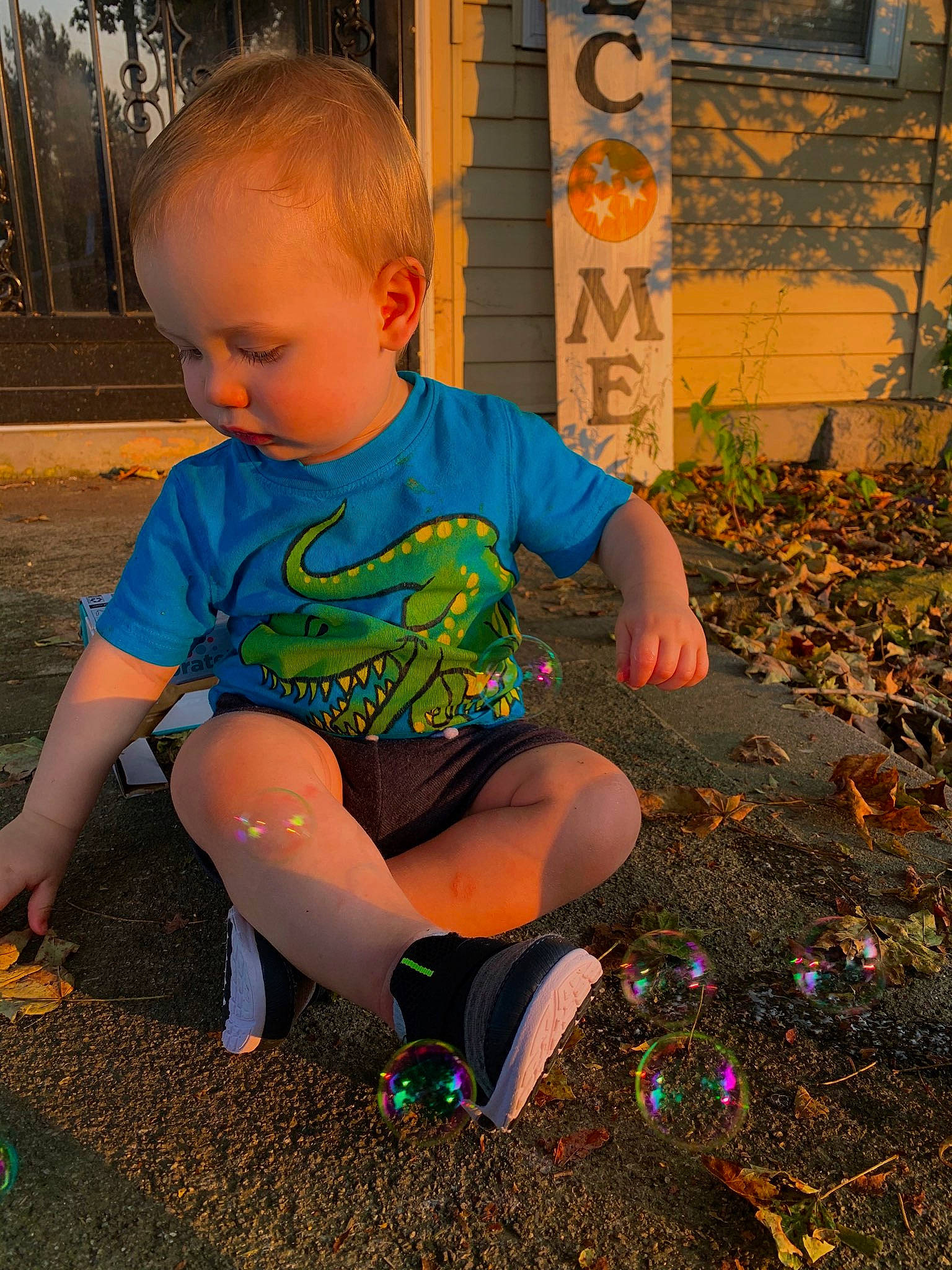 Camden is registered to the contest to win money with this photo: baby, child, fun, leaf, person, play, sitting, smile, toddler