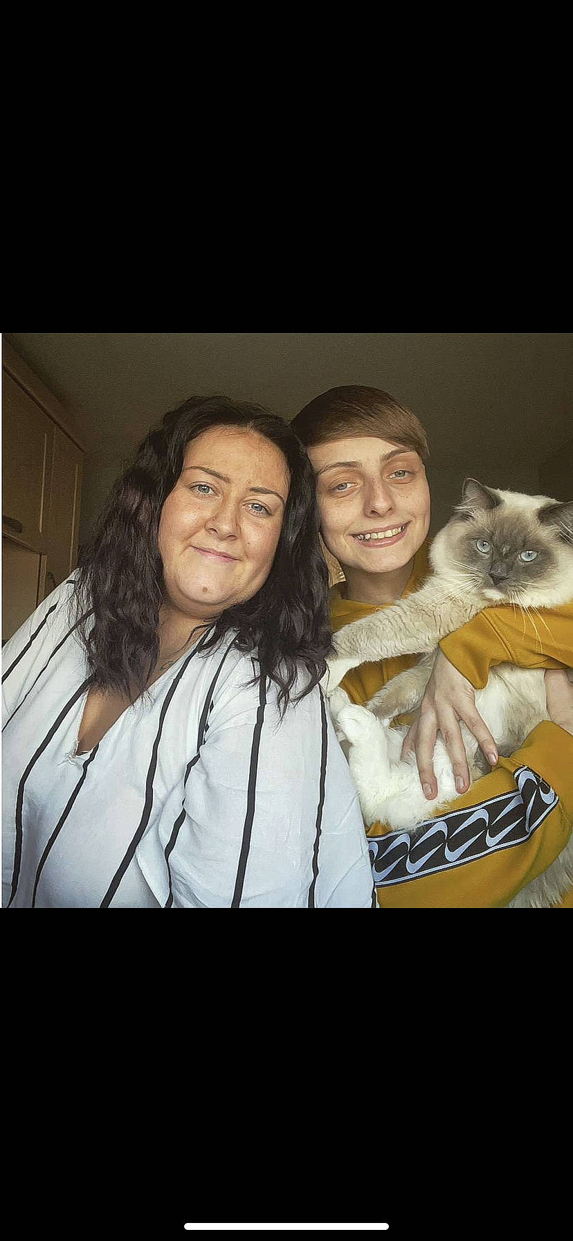 Sox joined the competition — help win amazing prizes! balinese, birman, carnivore, cat, companion_dog, event, fashion_design, felidae, flash_photography, formal_wear, fun, fur, happy, photo_caption, siamese, small_to_medium_sized_cats, smile, thai, whiskers