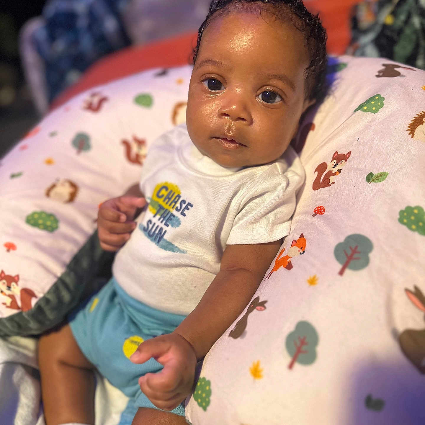 Tiesean is registered to the contest to win money with this photo: animal_print, baby, blurred_background, child, clothing, comfort, curly_hair, cute, eyes, face, footwear, hand, indoor, infant, pillow, portrait, shirt, shorts, skin, socks