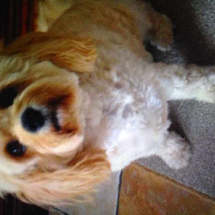 Barnaby is registered to the contest to win money with this photo: